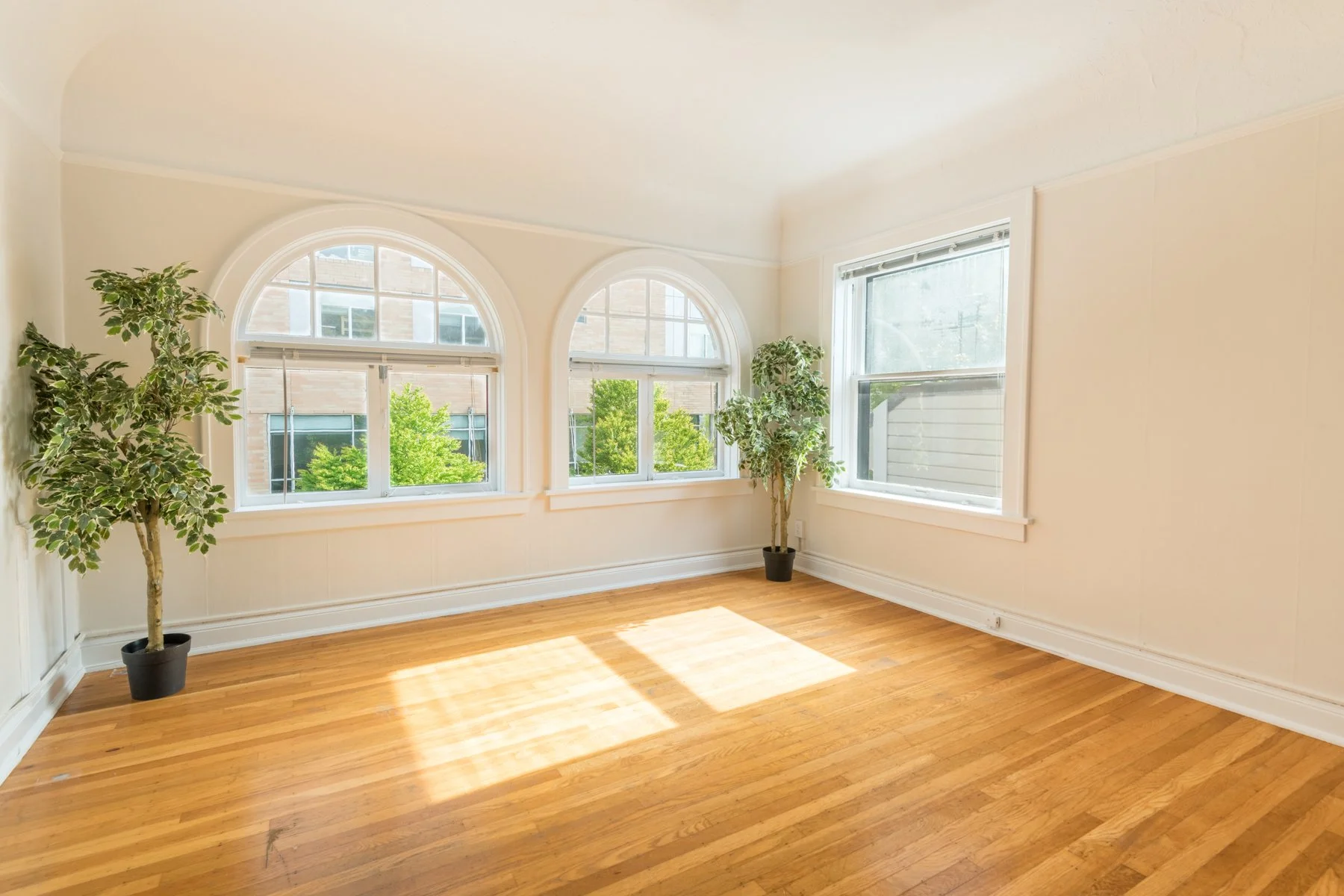 Arched Windows.jpg