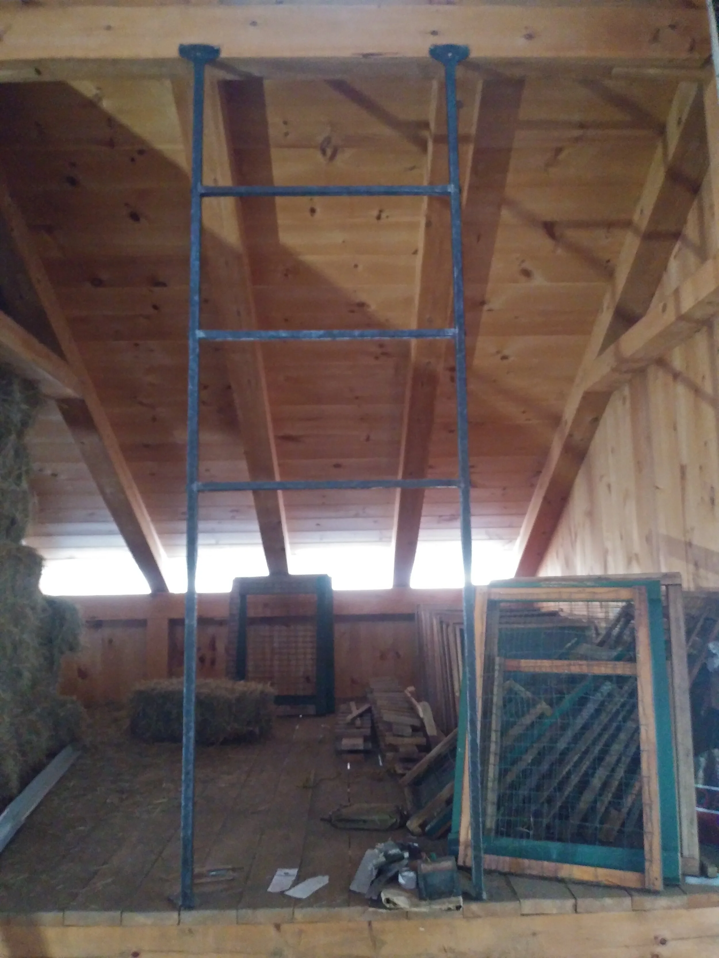 20210128_153119 (1).jpg