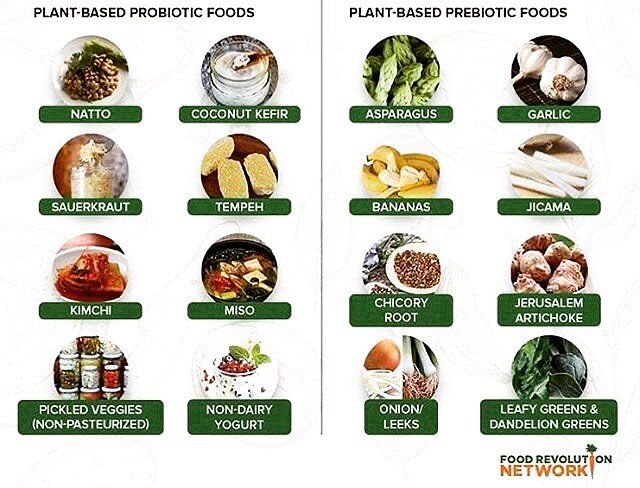 Natural probiotic/ prebiotics cheat sheet💚 Bookmark this post so you can be sure to add foods from both of these lists to your next grocery run! Wanting some recommendations? Book a 30 min. Chat with a health coach consultation on my website (link i