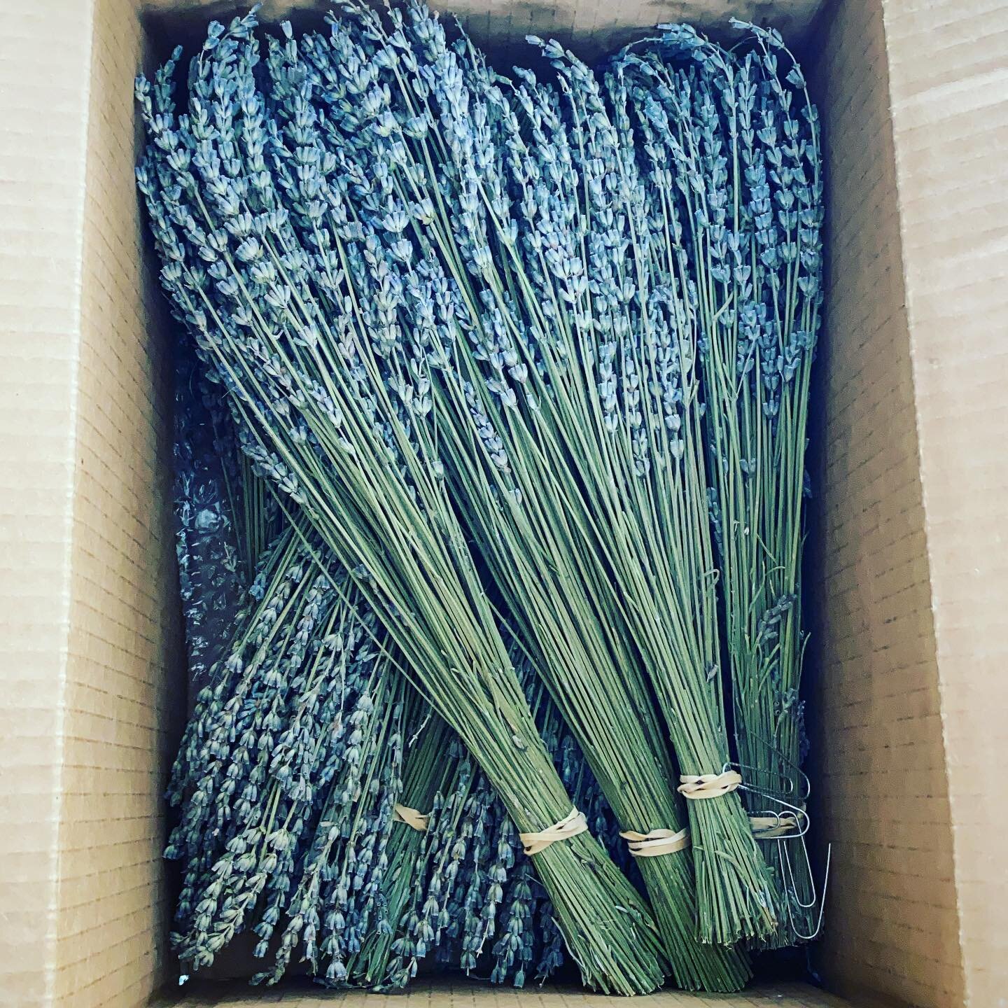 I opened the post box and was instantly met with this wonderful smell!! How gorgeous are these all organic lavender bundles? The best part is they are grown along the Chama river where I grew up. I cannot wait to get busy and work with these. Stay tu