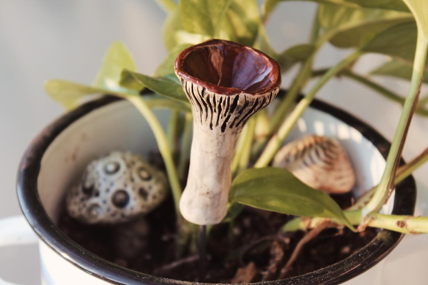 Mold your own mushroom planter tags with clay! We had so much fun losing track of time and creating these little magical plant companions 🍄 ✨

This 2 part series will be held Wednesday April 3rd &amp; 10th @ 6 pm

#clay #workshop #dayton #daytonclay