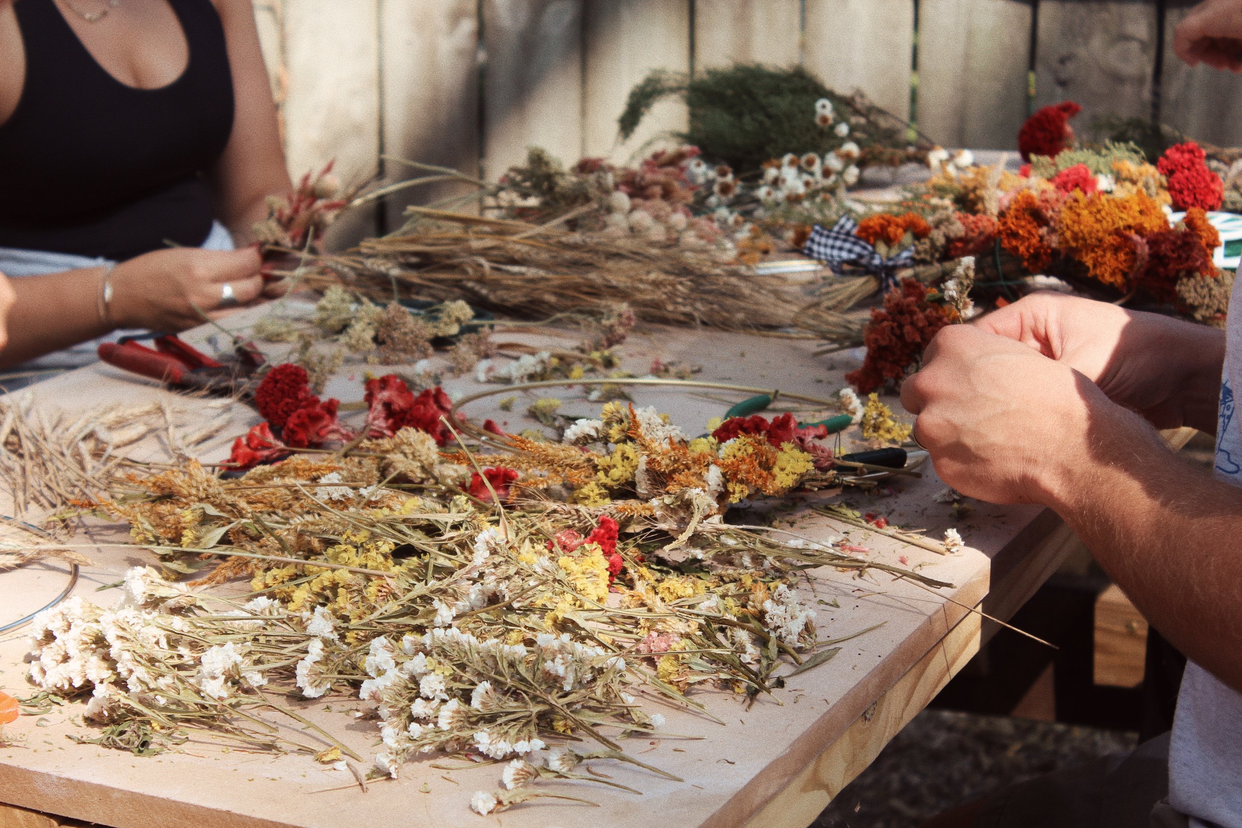 Dried Flowers Made a Ceramic Art Studio and Butter Flower Farm.JPG