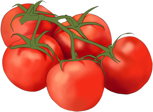 11_Tomato.png