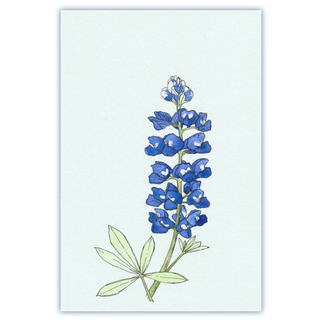 BLUEBONNET MINI PRINTS 001.png