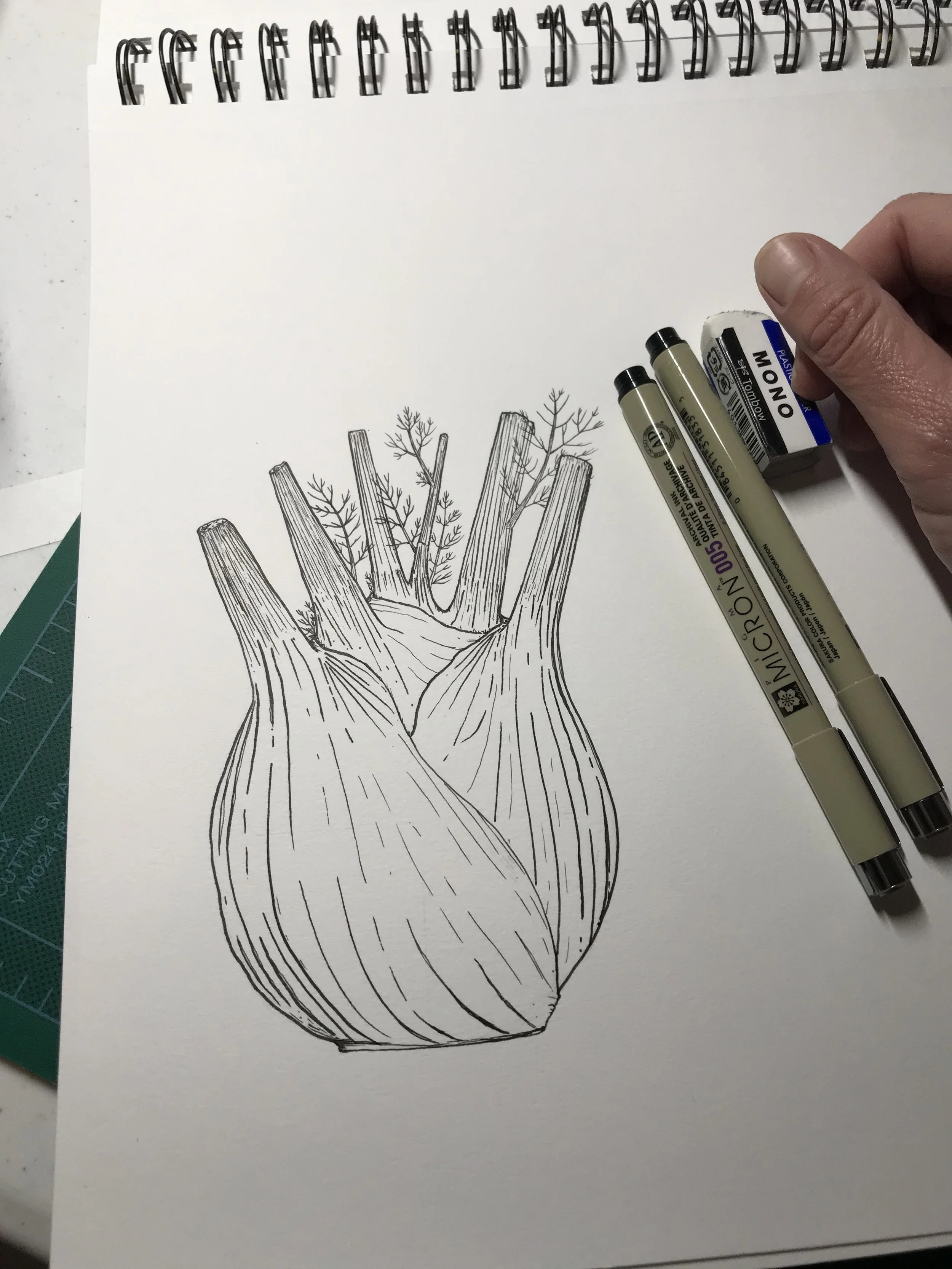 Fennel.jpg
