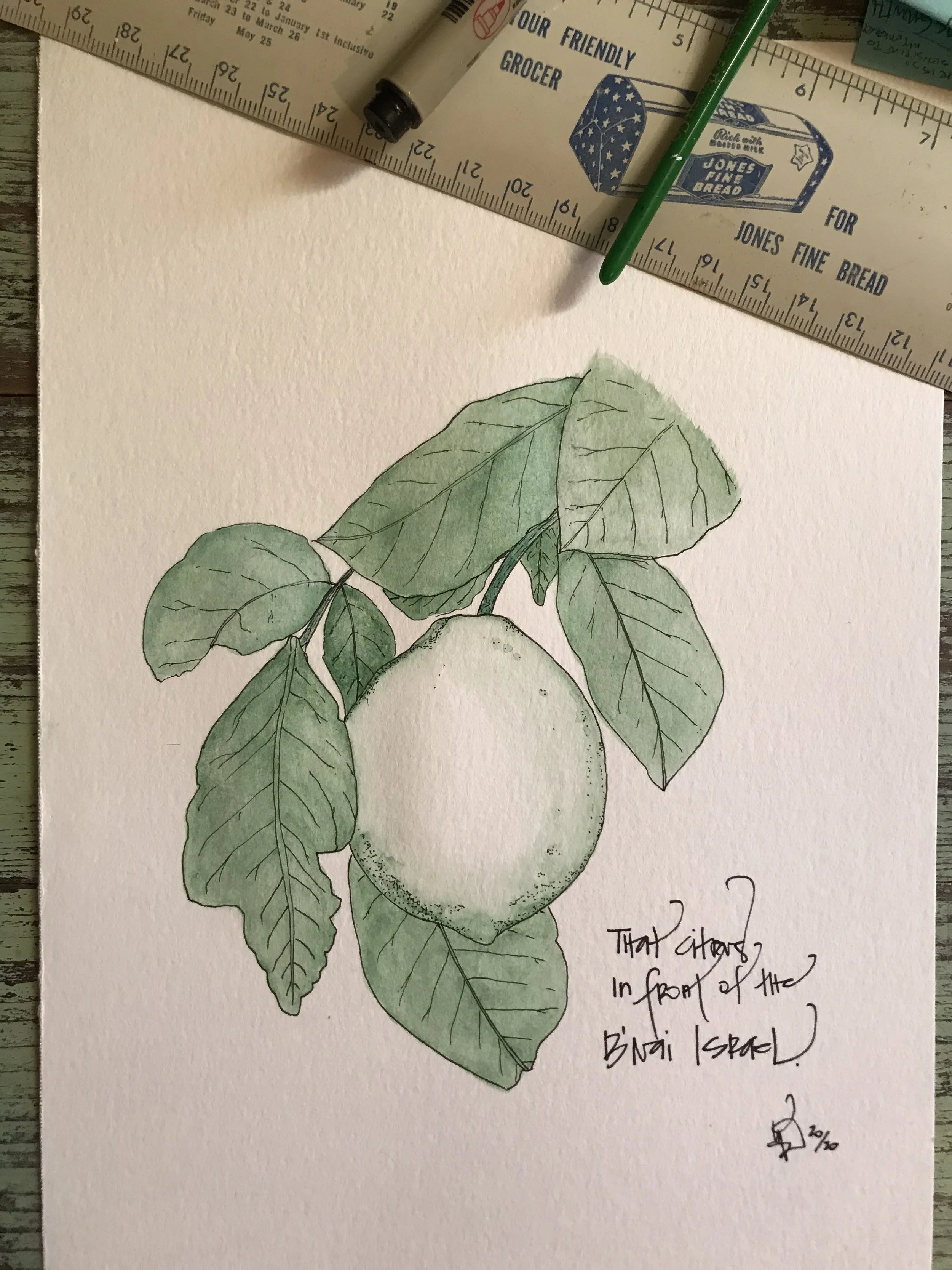 Lime.jpg