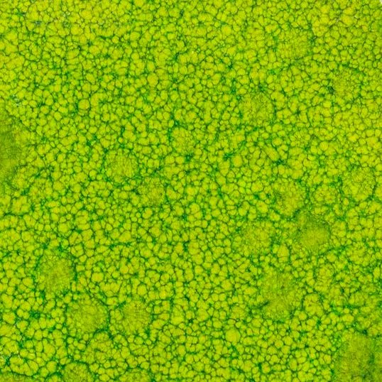 selenium green