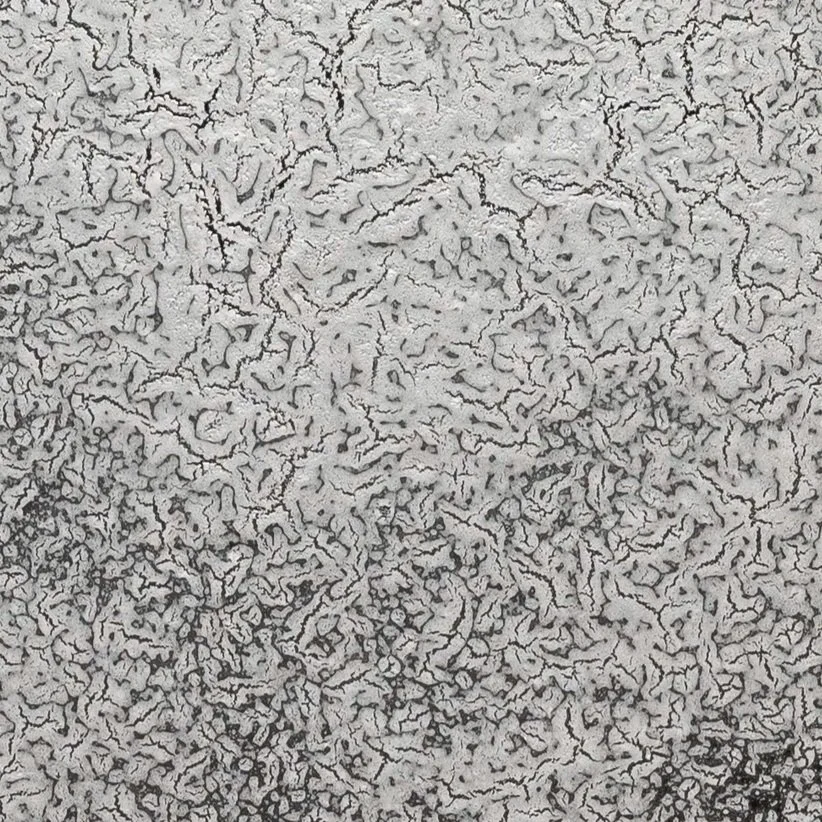 gossamer
