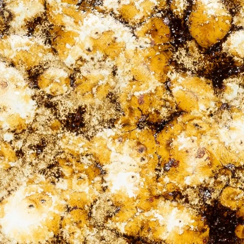 golden popcorn