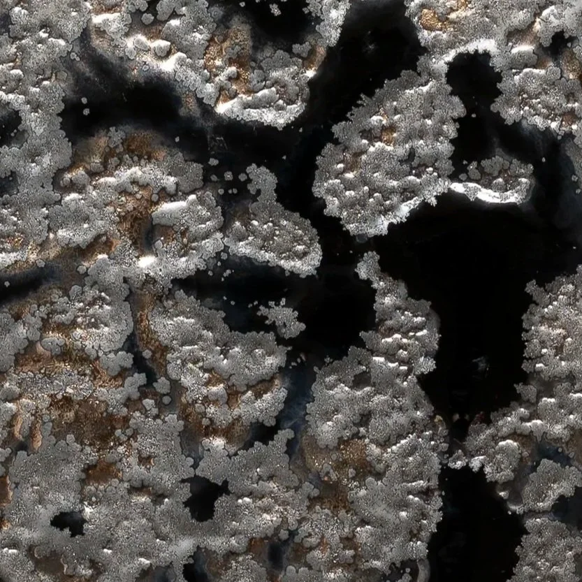 obsidian frost
