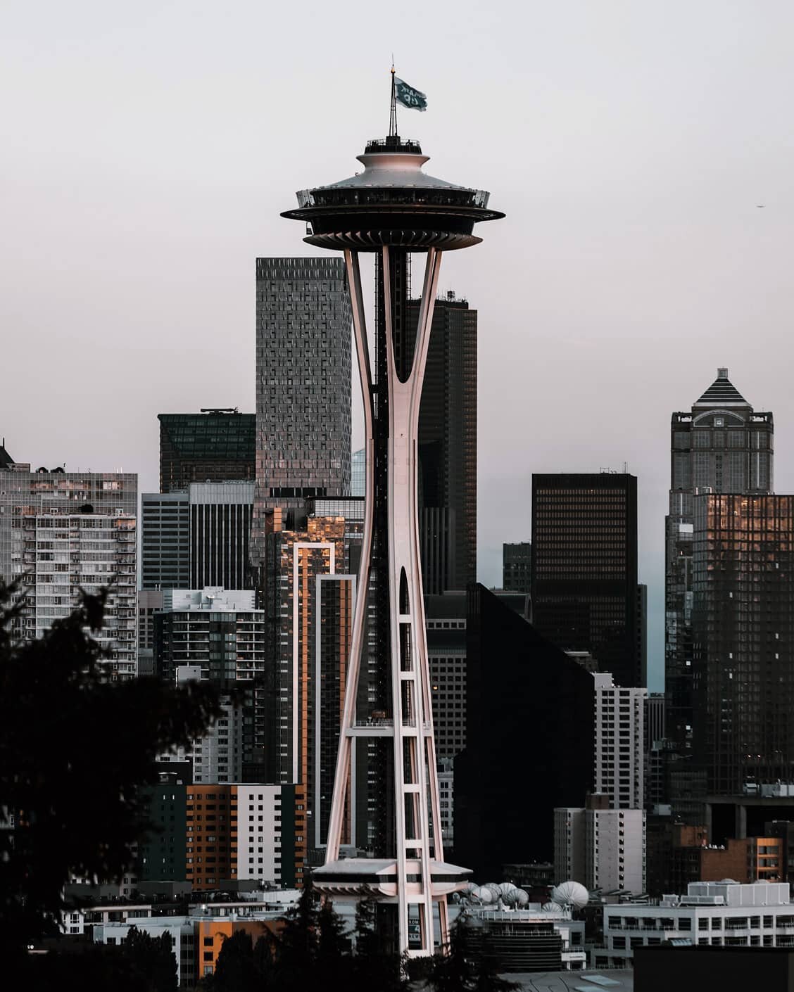 One of the my favorite places spots for a view of the @spaceneedle is at Kerry Park. Make sure you bring a zoom lens!

#visitseattle #kerrypark #helloseattle #pacificnorthwest #nomadict #hellofrom #visionarytravel #mtrainier #pnwonderland #pnwadventu