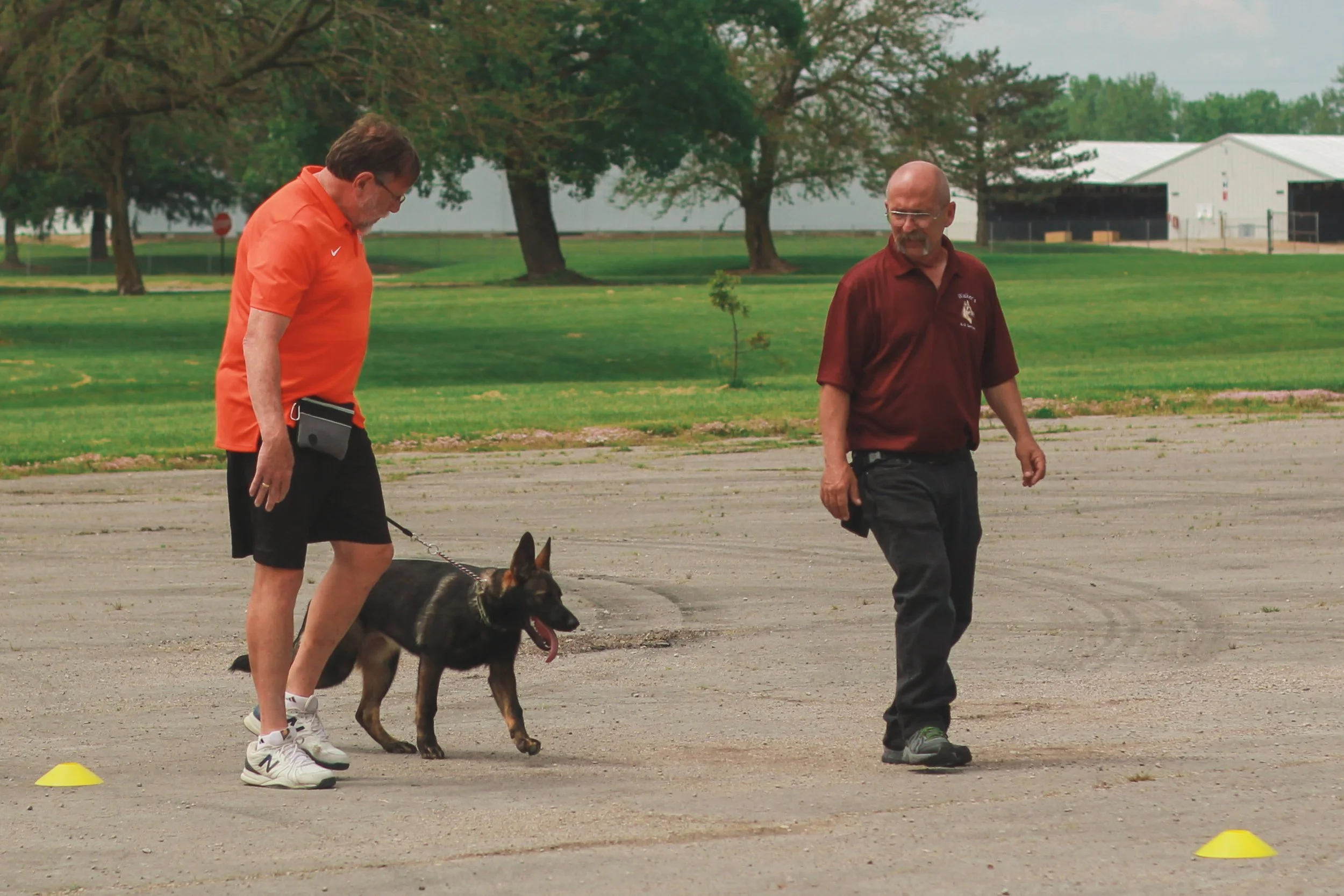 Training Programs We Offer — Walker's K9 Services