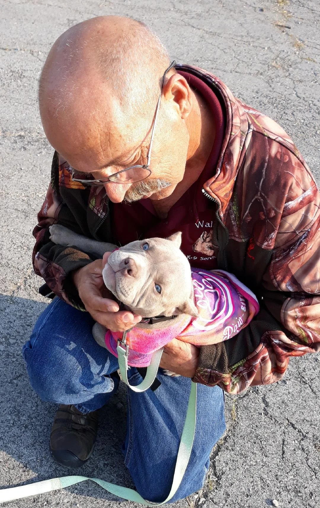 Gallery — Walker's K9 Services