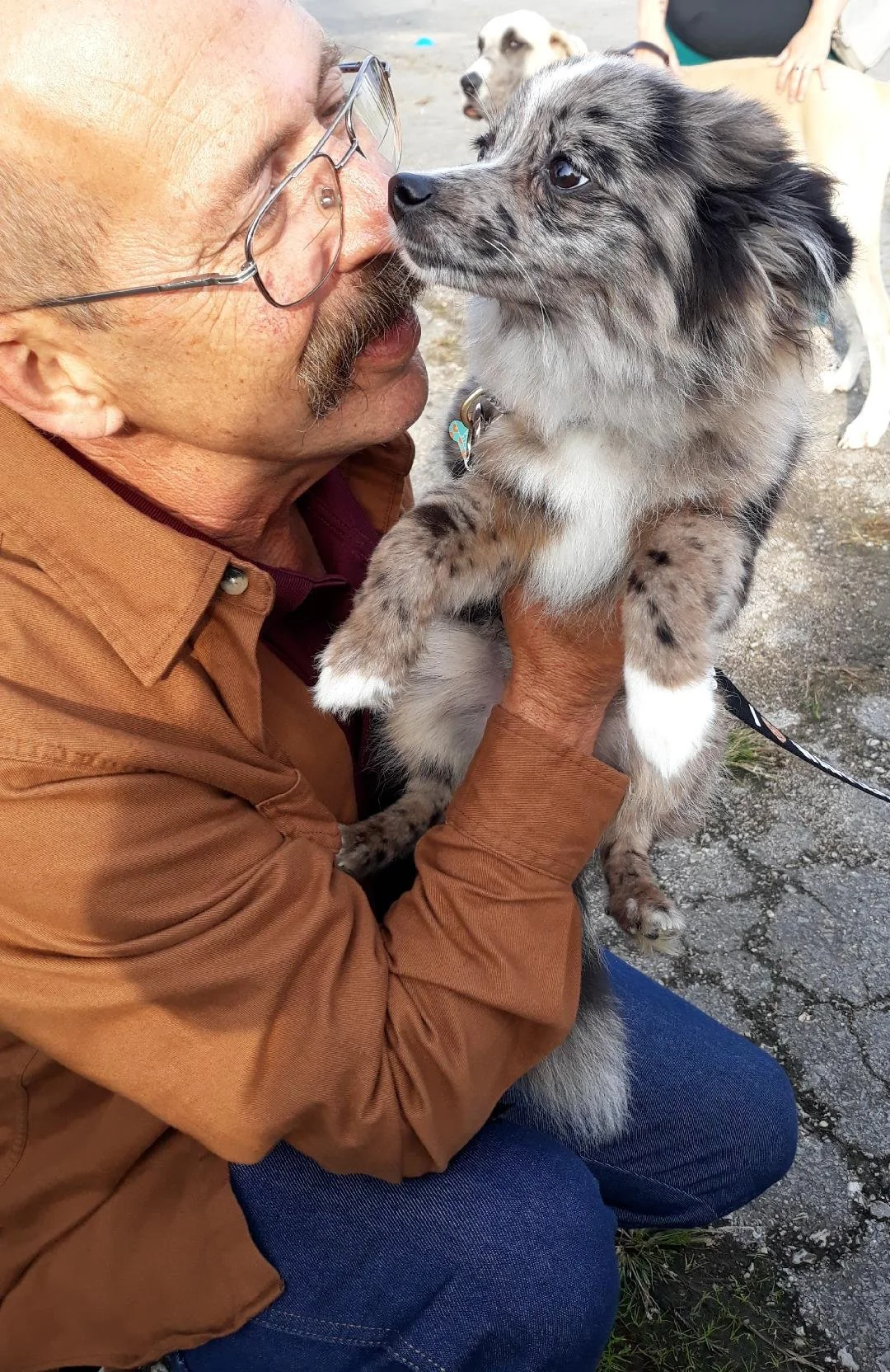 Gallery — Walker's K9 Services