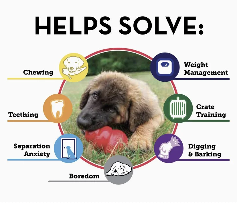Chew Toys — Walker's K9 Services