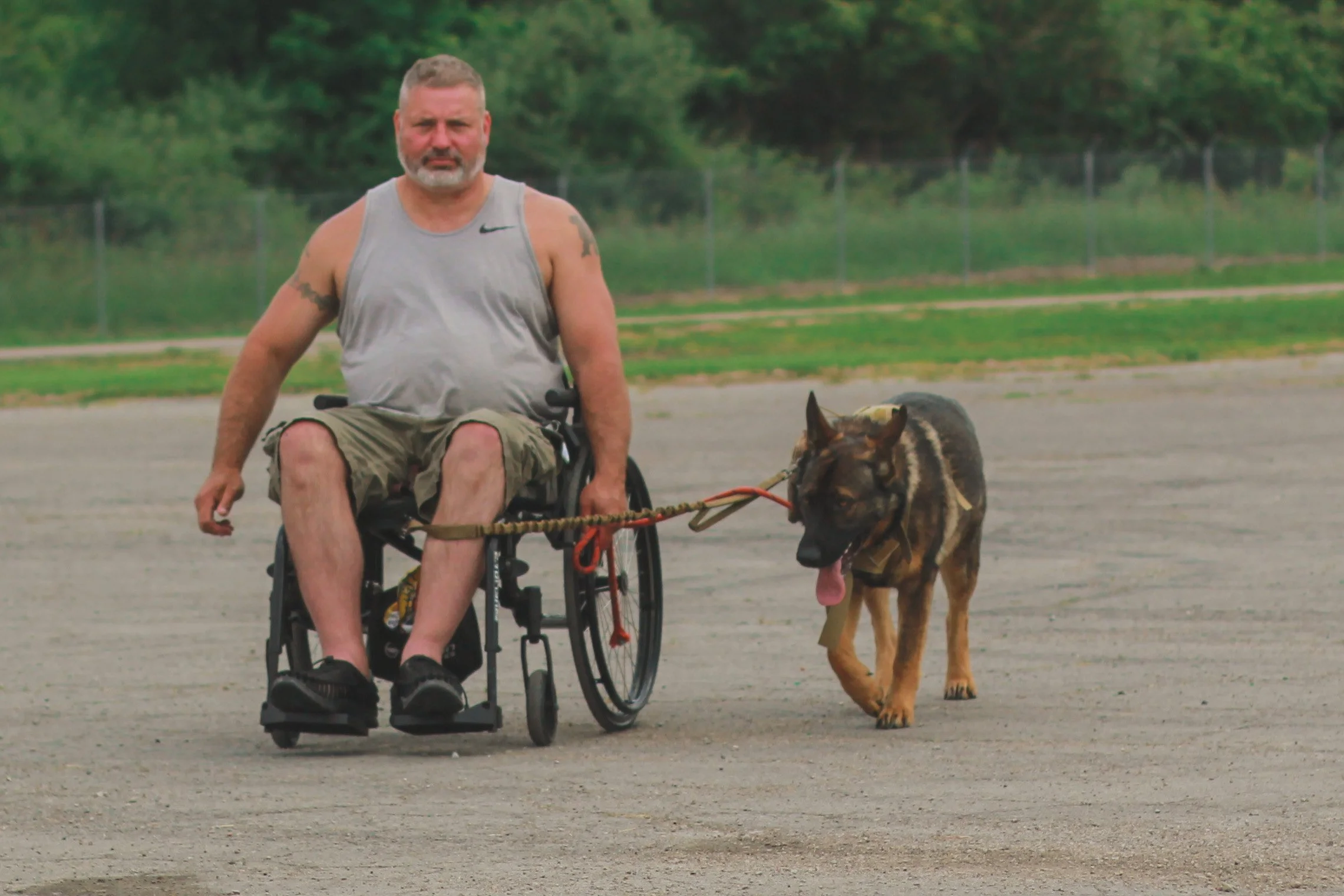 Gallery — Walker's K9 Services