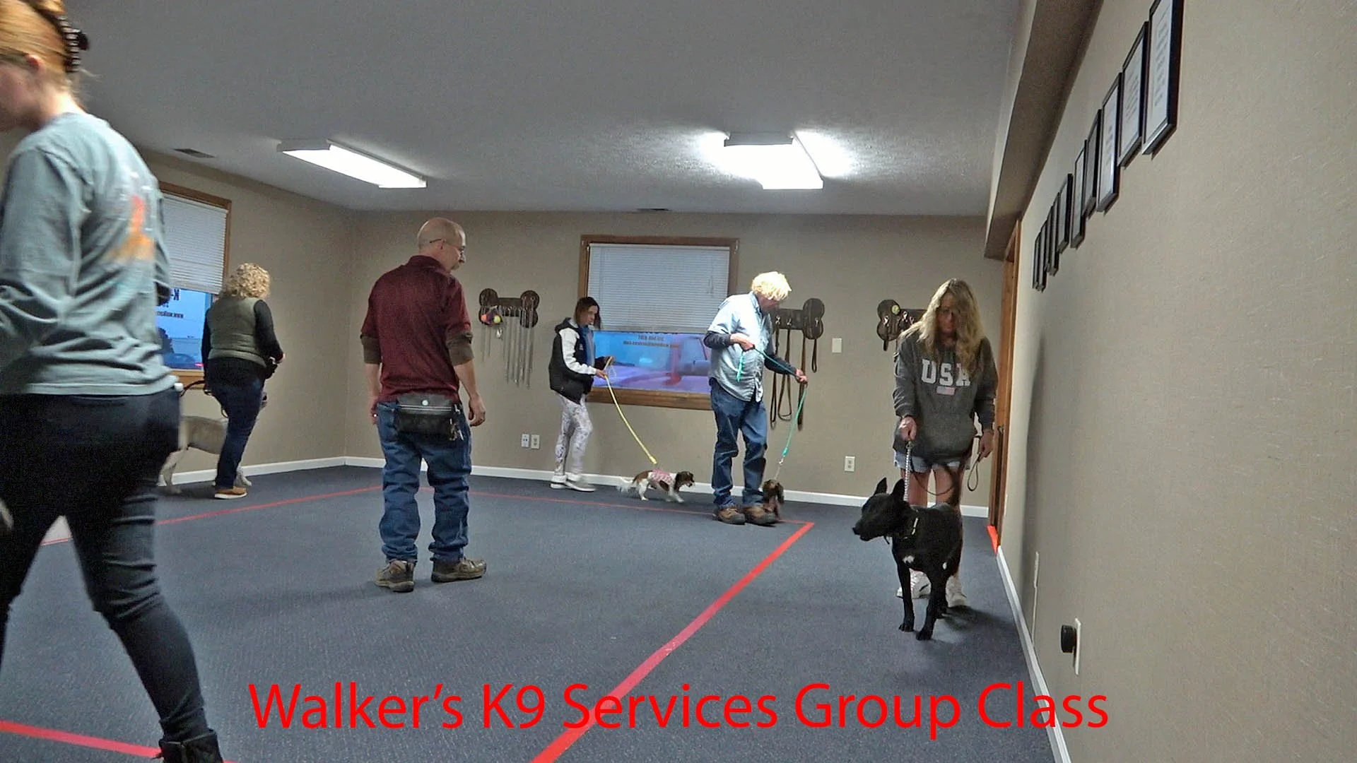 Where We Train — Walker's K9 Services