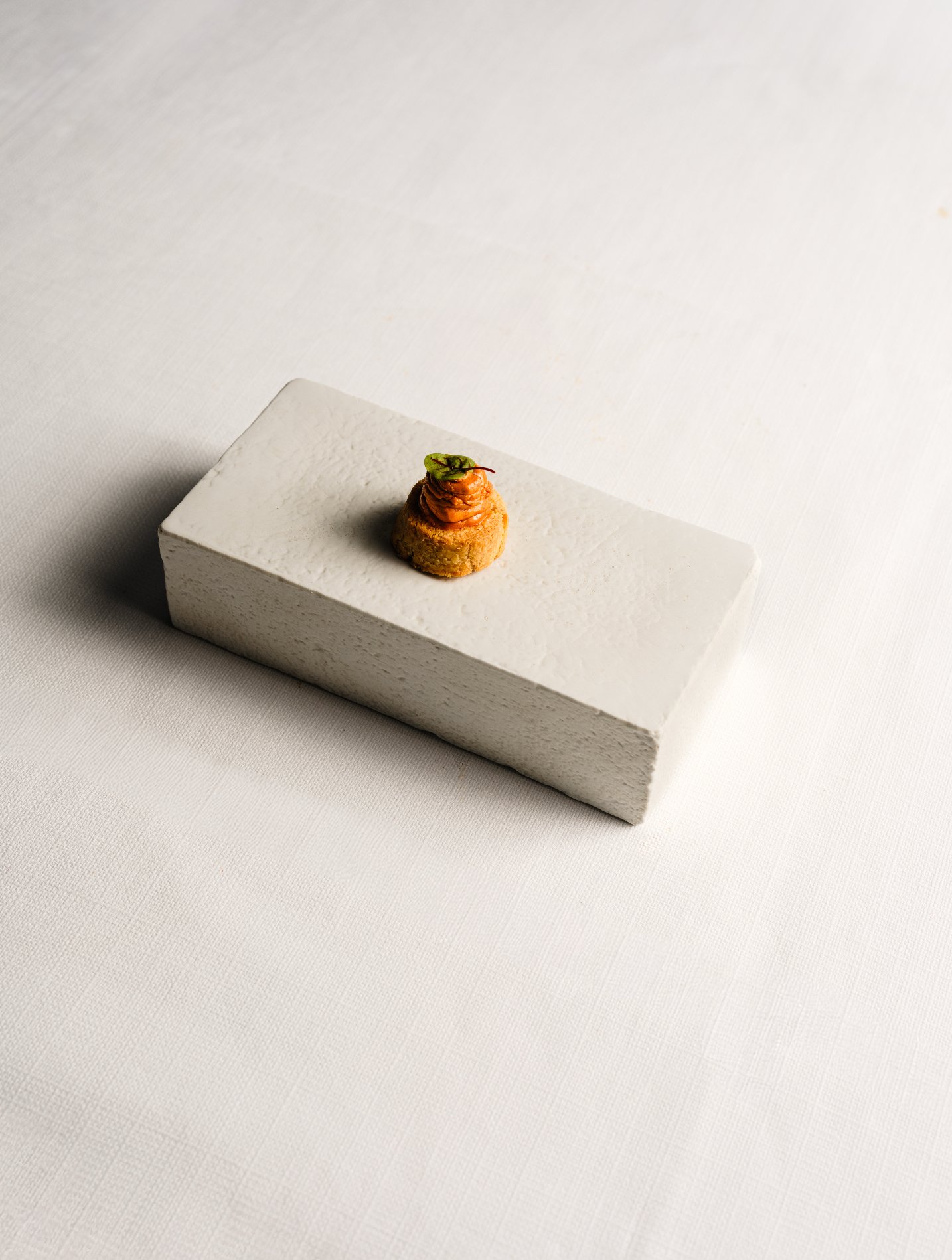 Une petite portion de nourriture artistique ou gastronomique sur une surface blanche.