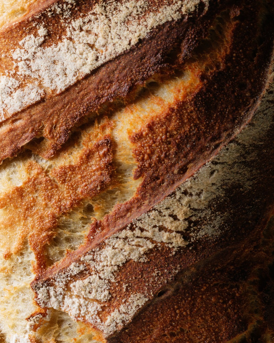 Gâteau maison avec une croûte dorée et saupoudré de sucre glace.