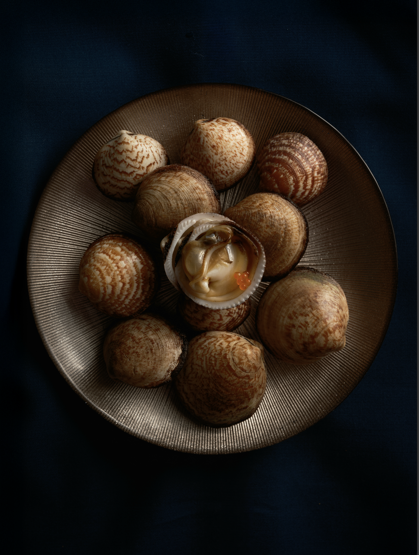 Capture d’écran 2026-01-13 à 15.24.55.png