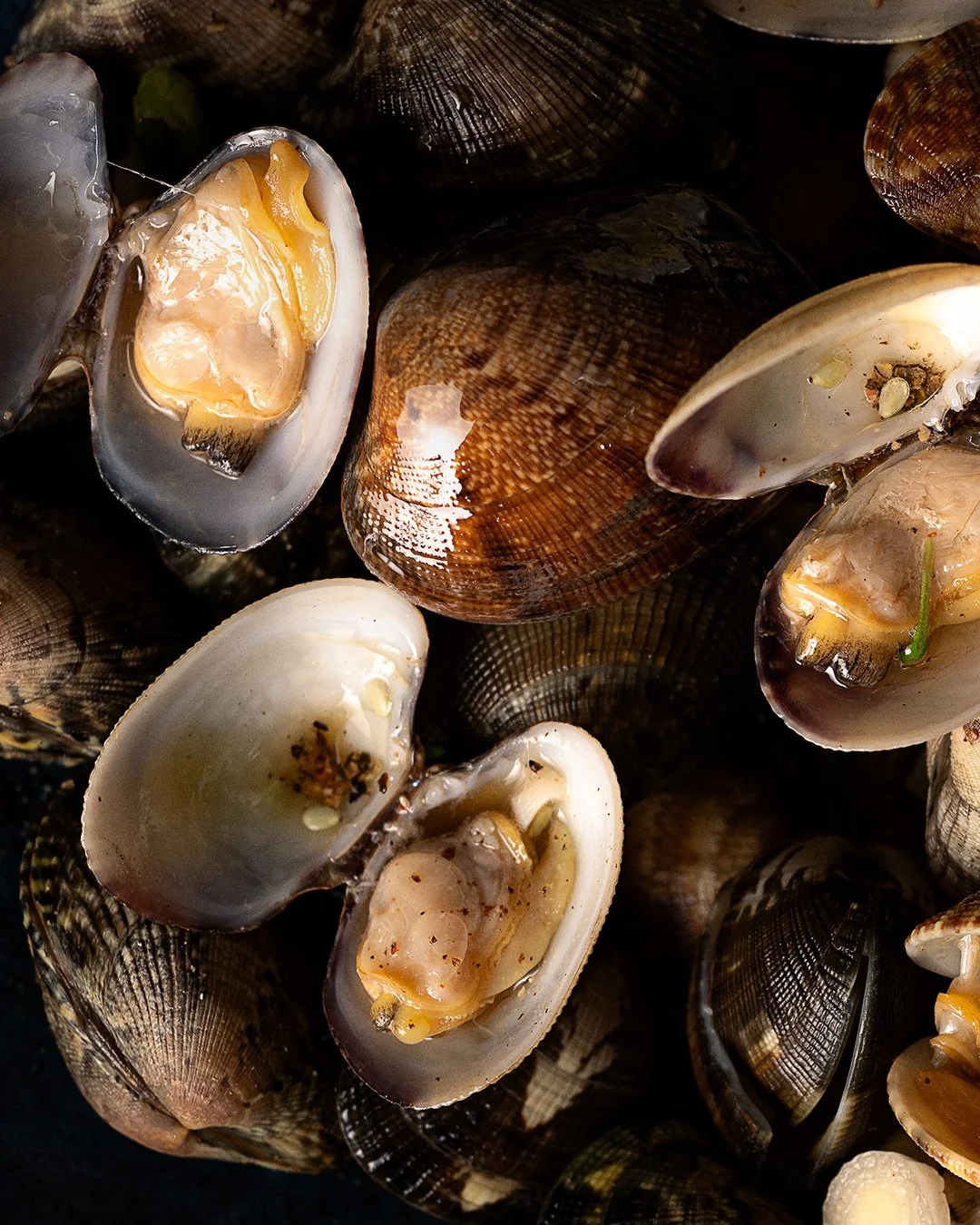 Macro photographique de palourdes ouvertes, révélant chair, épices et reflets. Texture très détaillée grâce à une lumière verticale dure et dirigée.