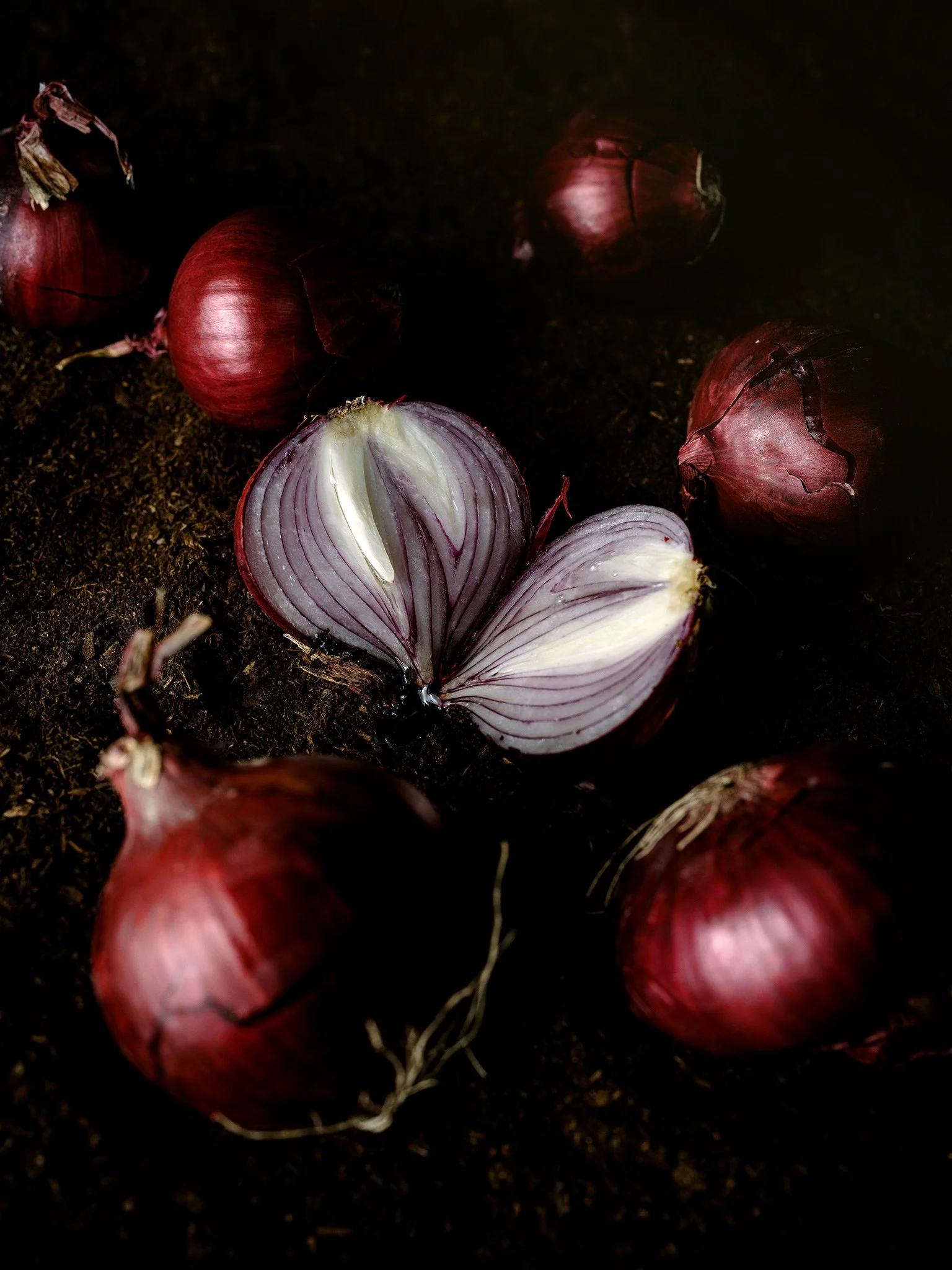Oignons rouges entiers et un oignon coupé en deux disposés sur de la terre sombre, éclairage directionnel créant une ambiance dramatique et texturée.