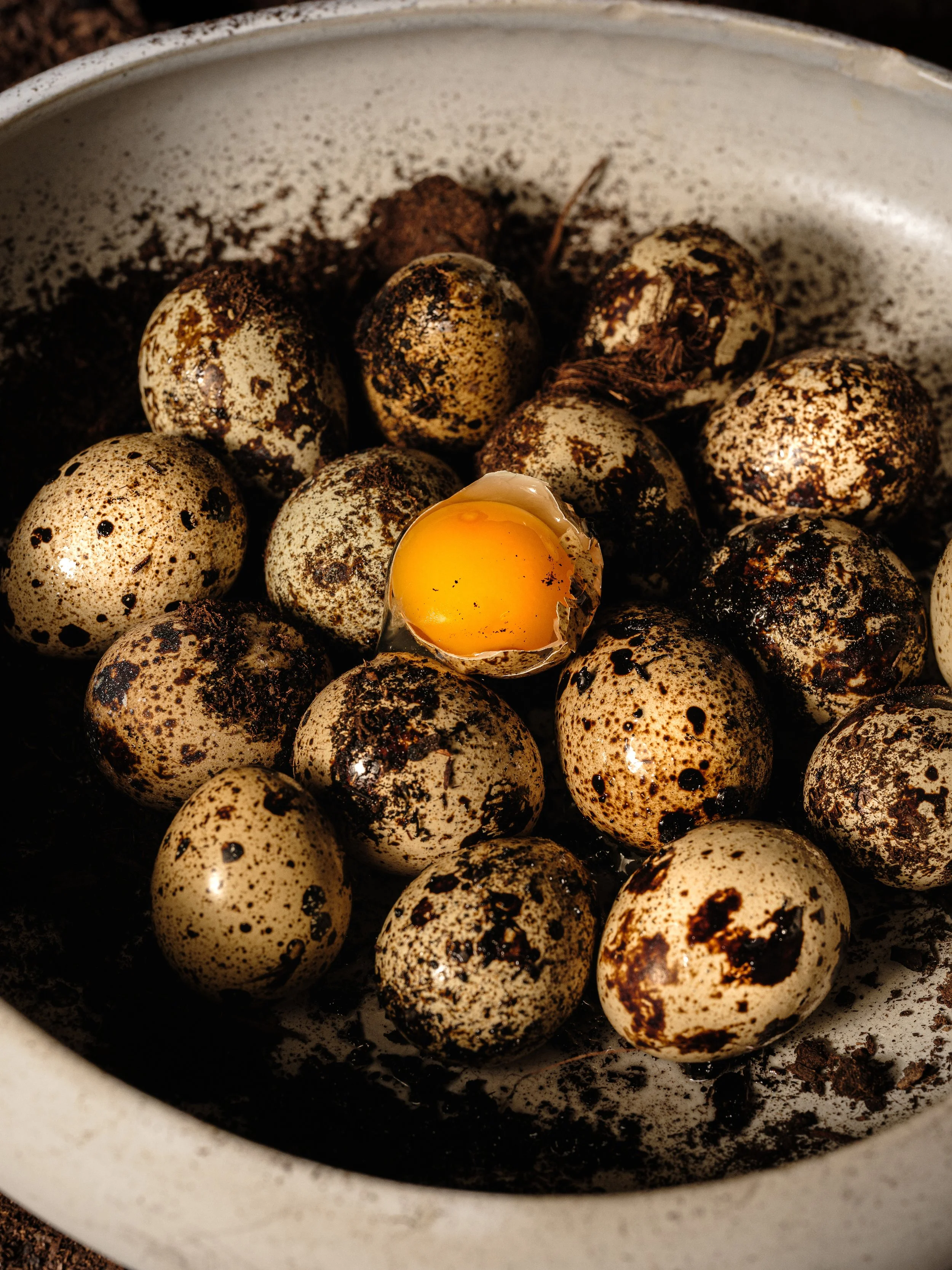 Bol rond en céramique contenant des œufs de caille couverts de terre, placé sur un sol brun sombre, avec un œuf ouvert au centre révélant un jaune lumineux.