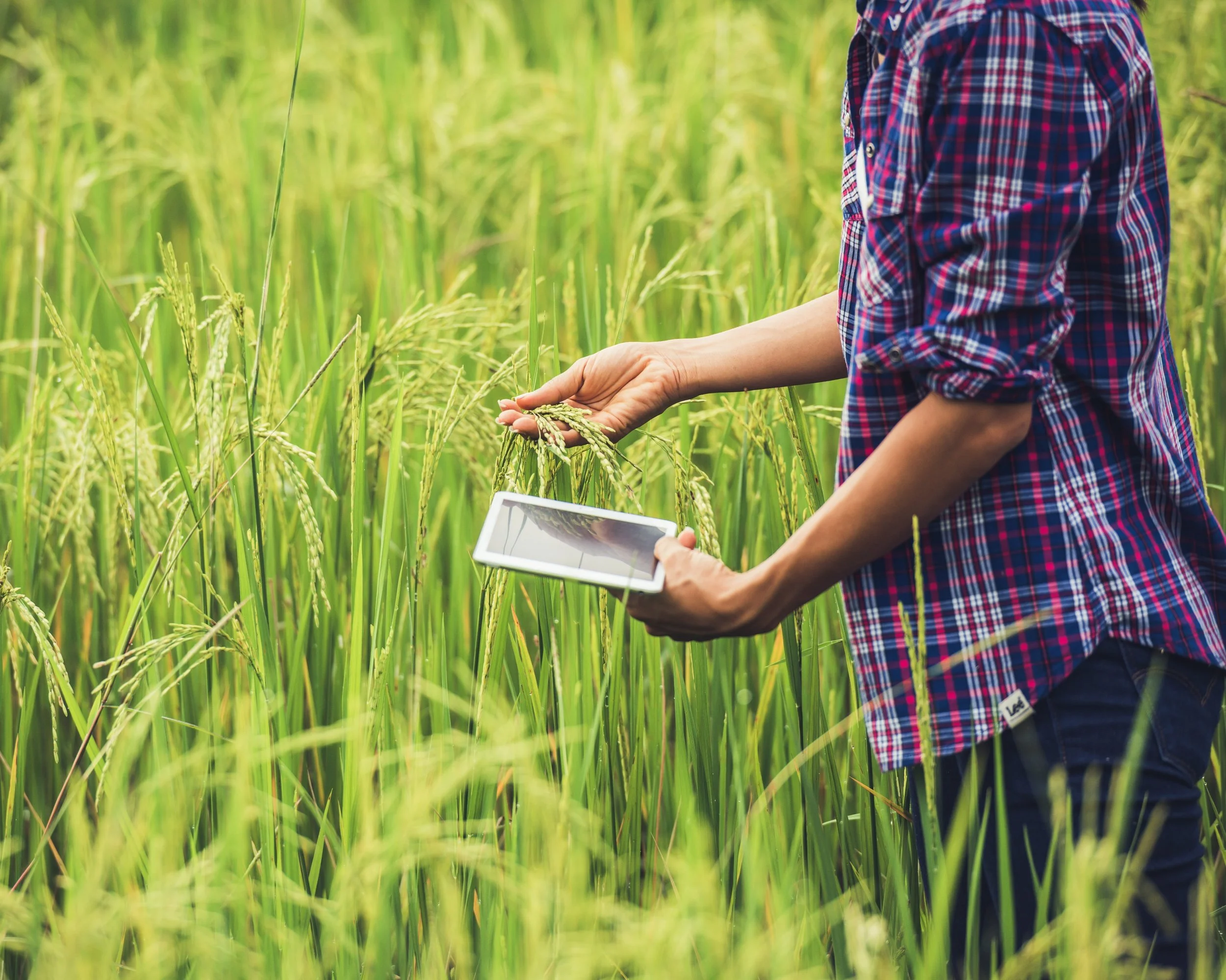 Theme Specific Highlights - Digital and data sovereignty