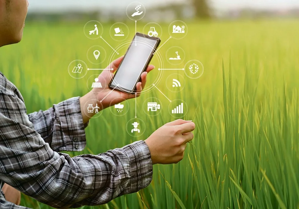 Impact of Data Governance and Sovereignty on the Livelihoods of Smallholder Farmers