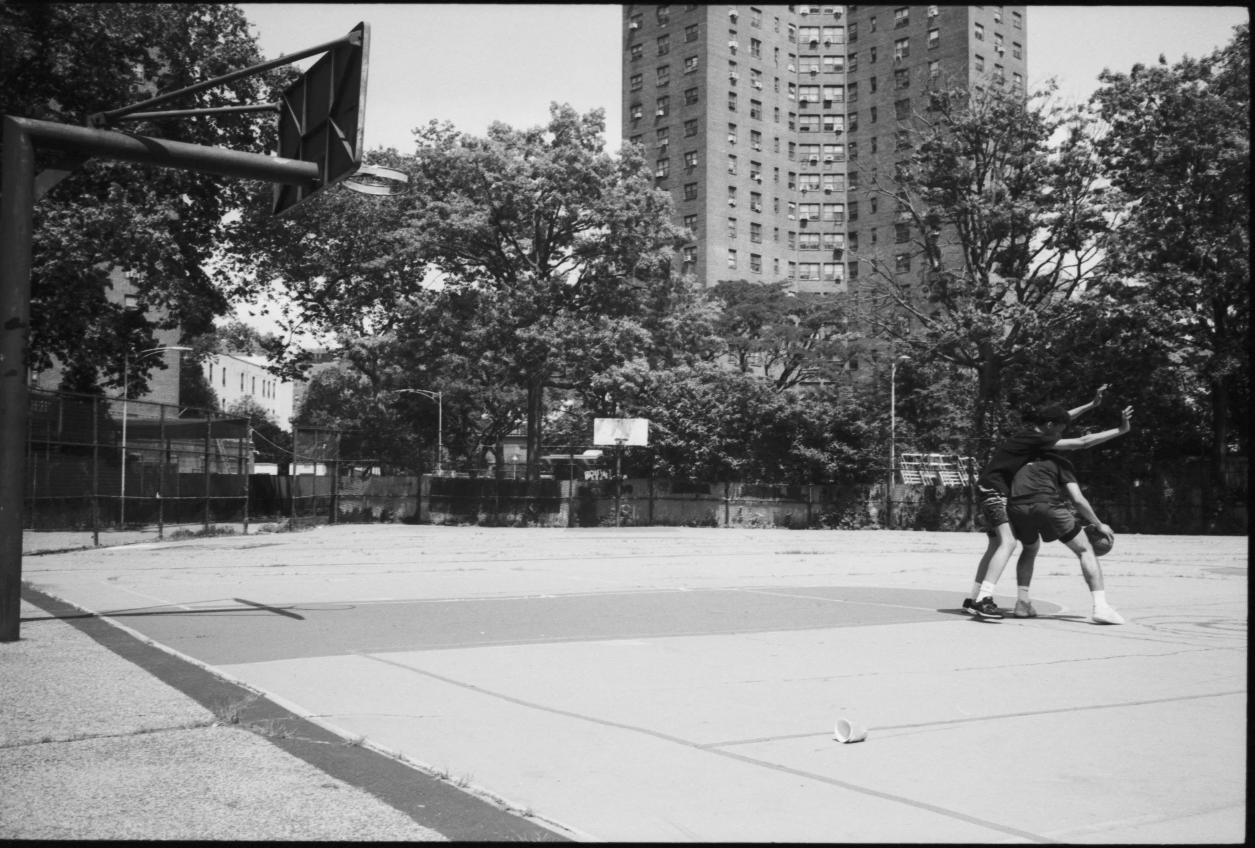 GoSkateDay_2025281522333439444958.jpg