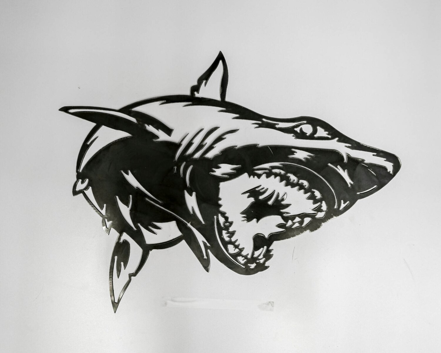 Shark.jpg