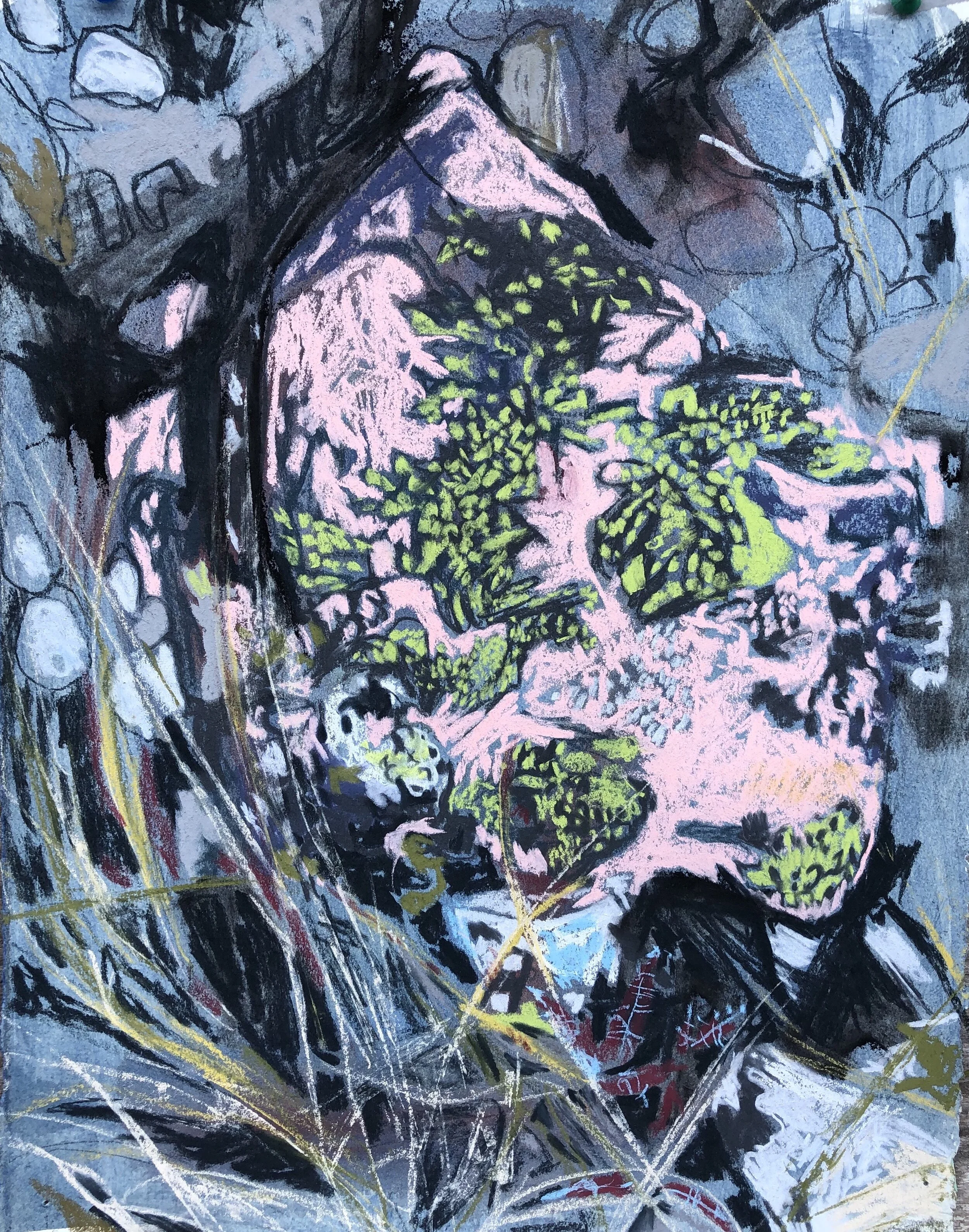 Lichen, 11"x15", mixed media on paper