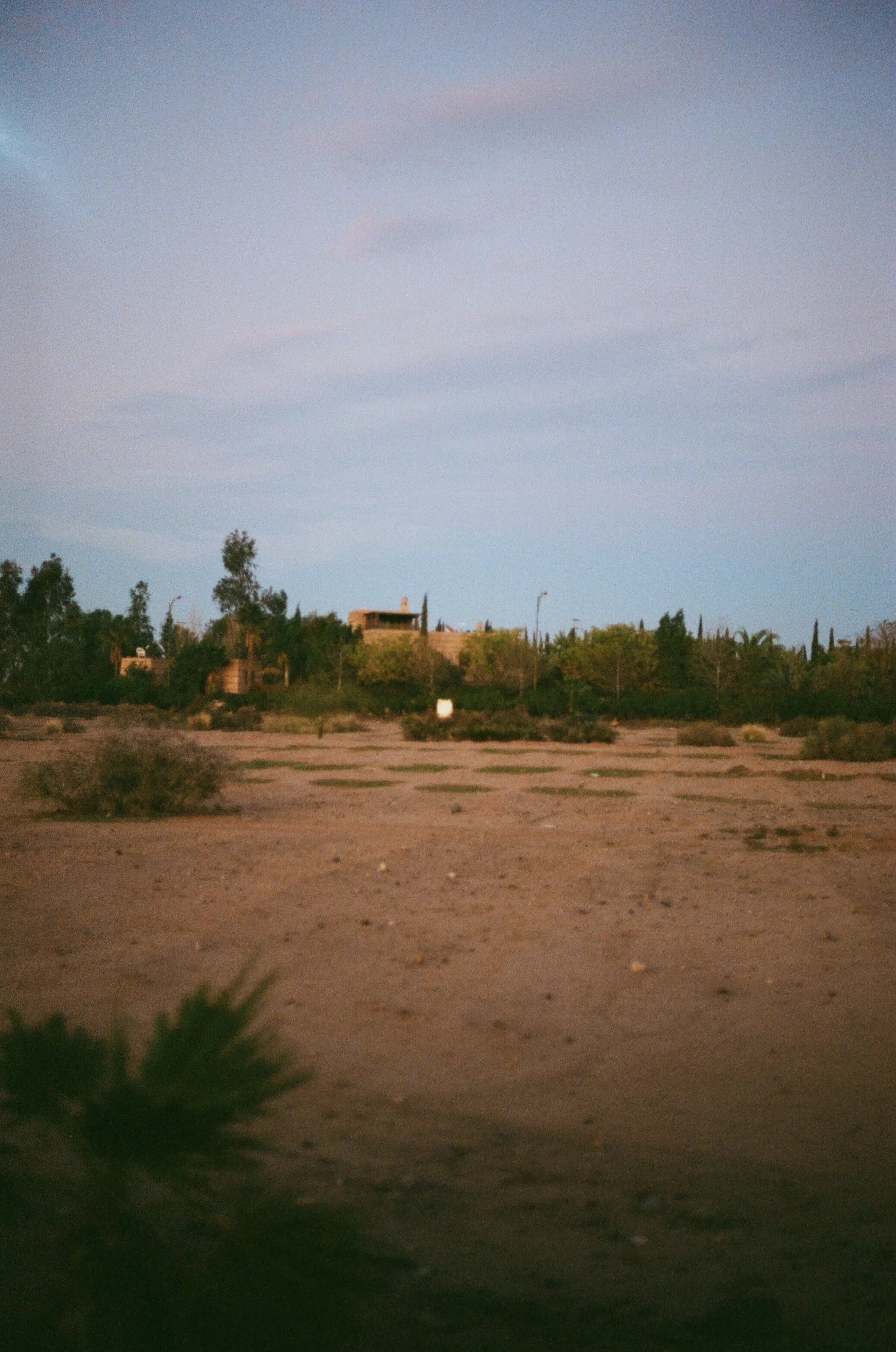 000033780026.jpg