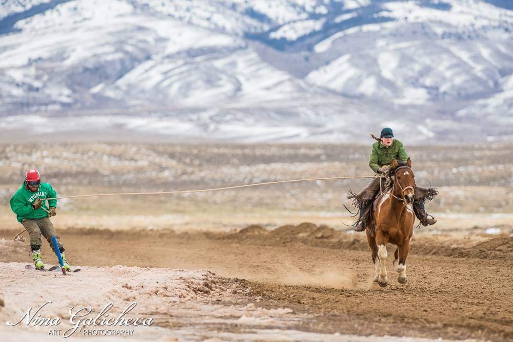 Skijoring 4.JPG