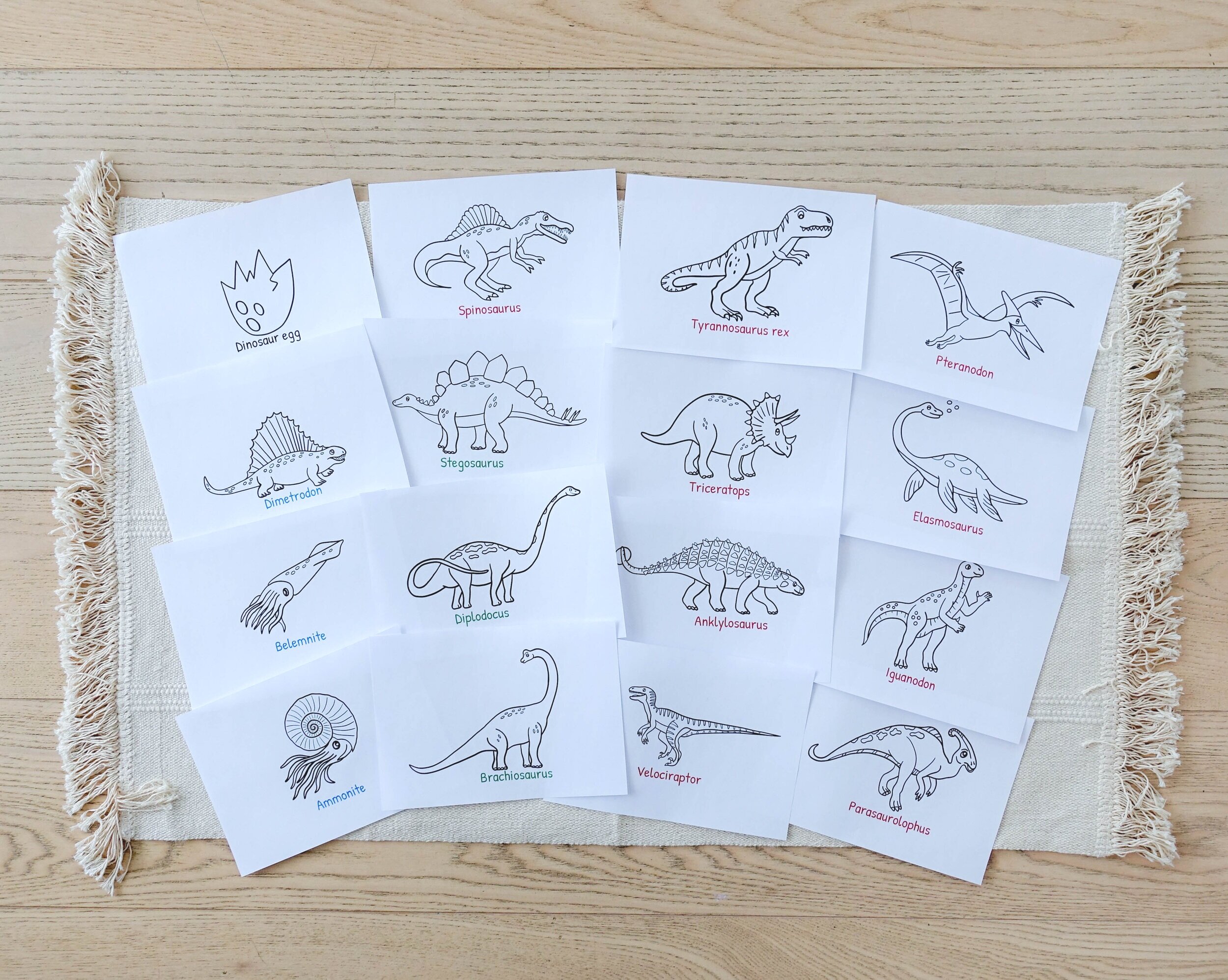 My Dinosaur book & colouring — Seashell Education