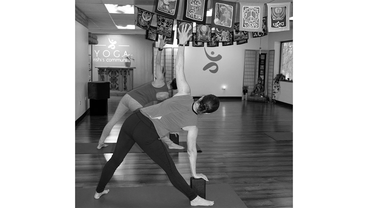 MMC Site_Rishi_two_yogis.jpg