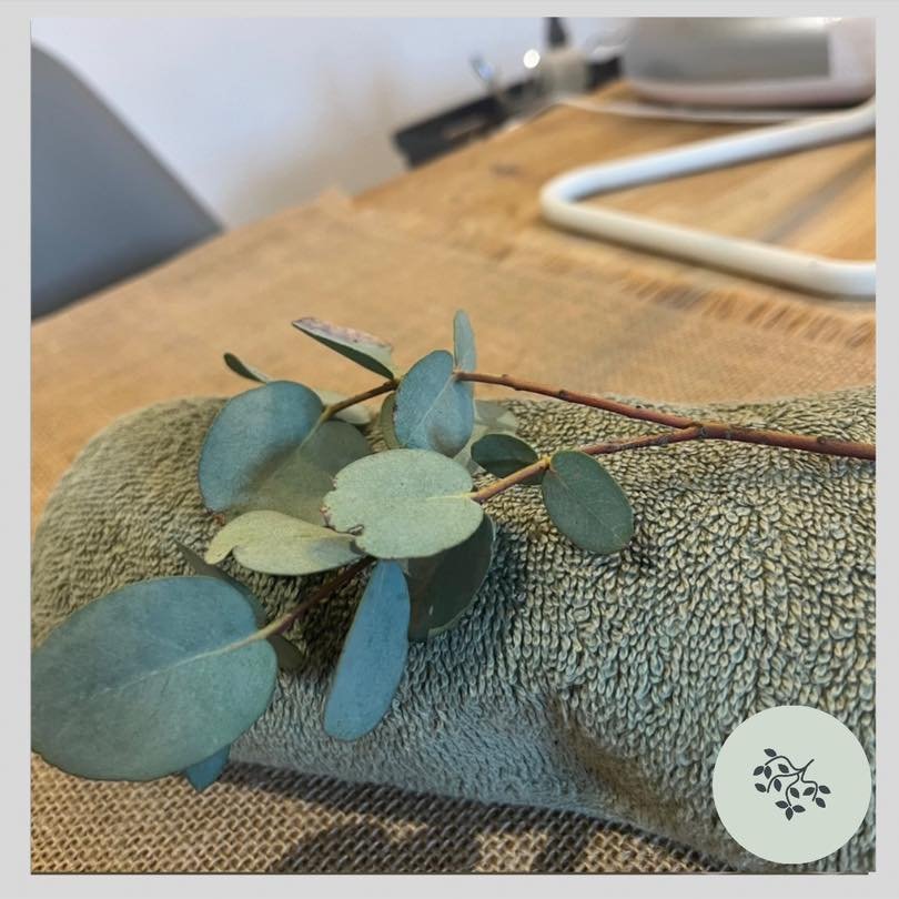 Why we have eucalyptus all around the retreat?
It&rsquo;s a wonderful symbol of strength, protection and abundance!
Australian aboriginals practiced burning these eucalyptus leaves as a way to purify and get todo of negative energy and it is seen a a