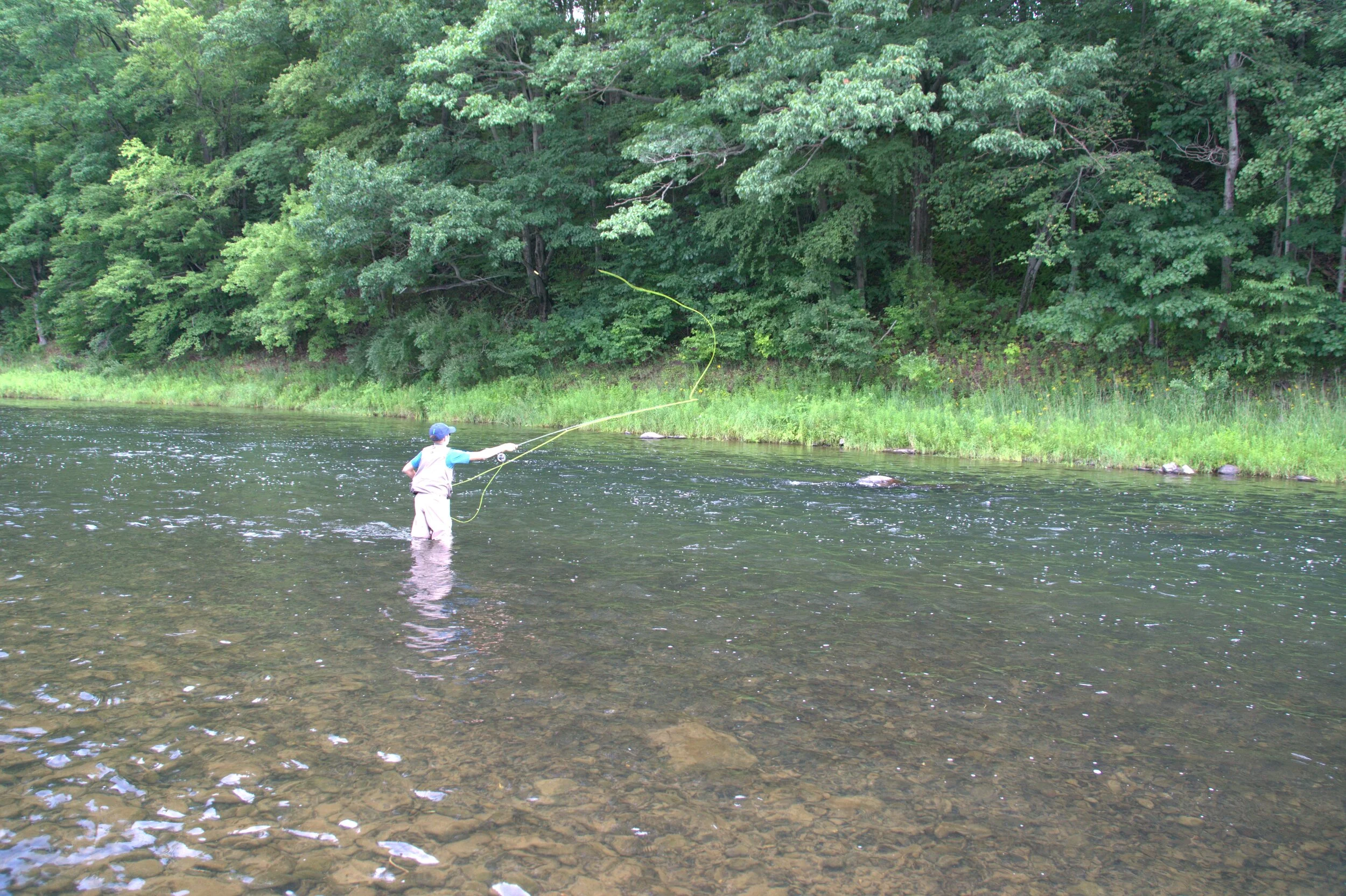 dsc05171_35654404353_o.jpg