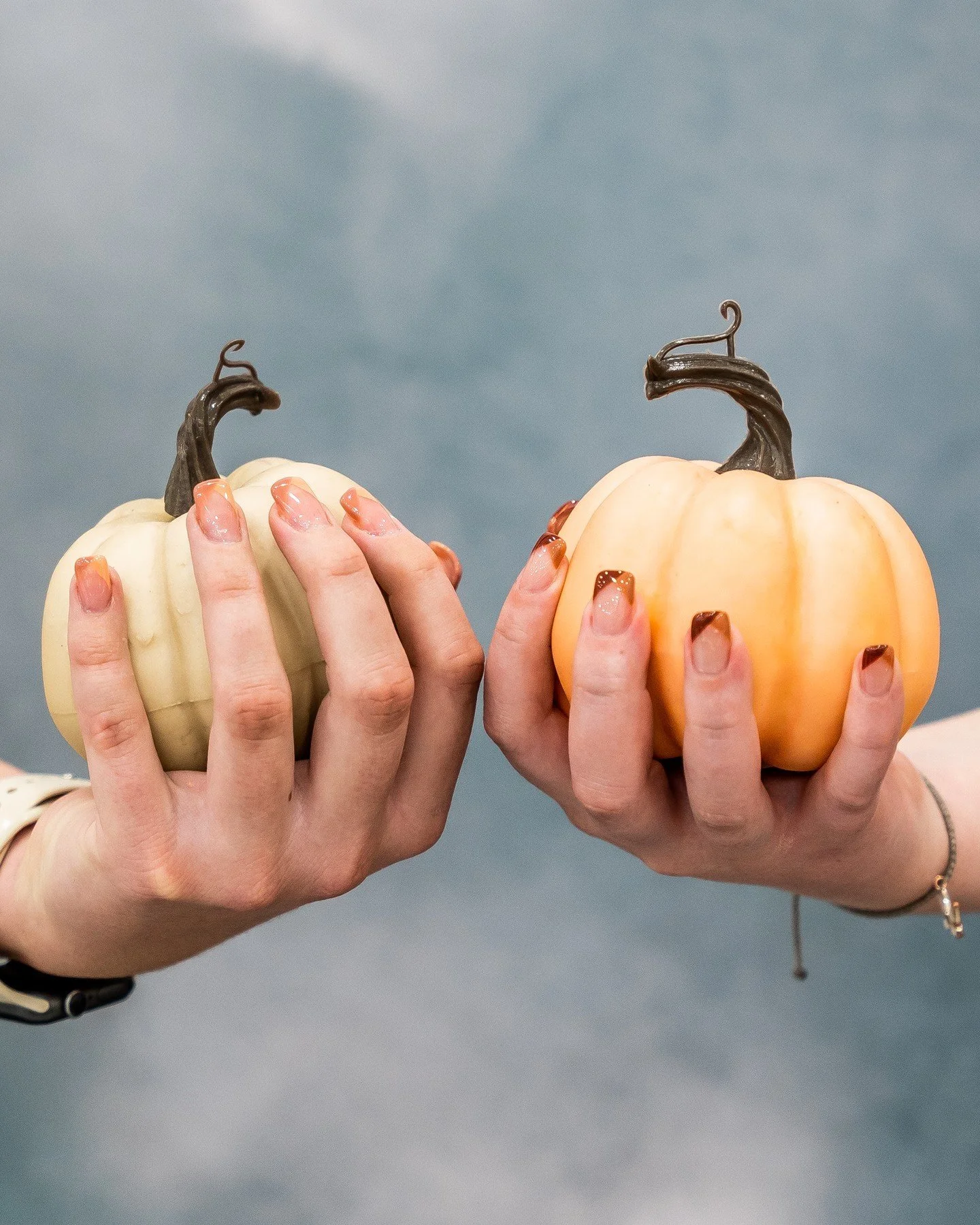 Swipe to see each #octoberfrenchmanicure up close. 

Please remember to allow extra time for your nail appointment when booking for your Halloween design 👻

#octobernailthrowbacks #fallfrenchideas #fallfrenchmanicures #fallnailcolors #fallmanicurein