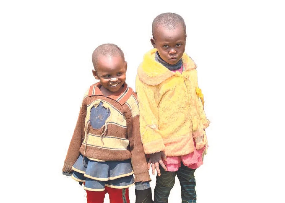 Building Futures- The Trees