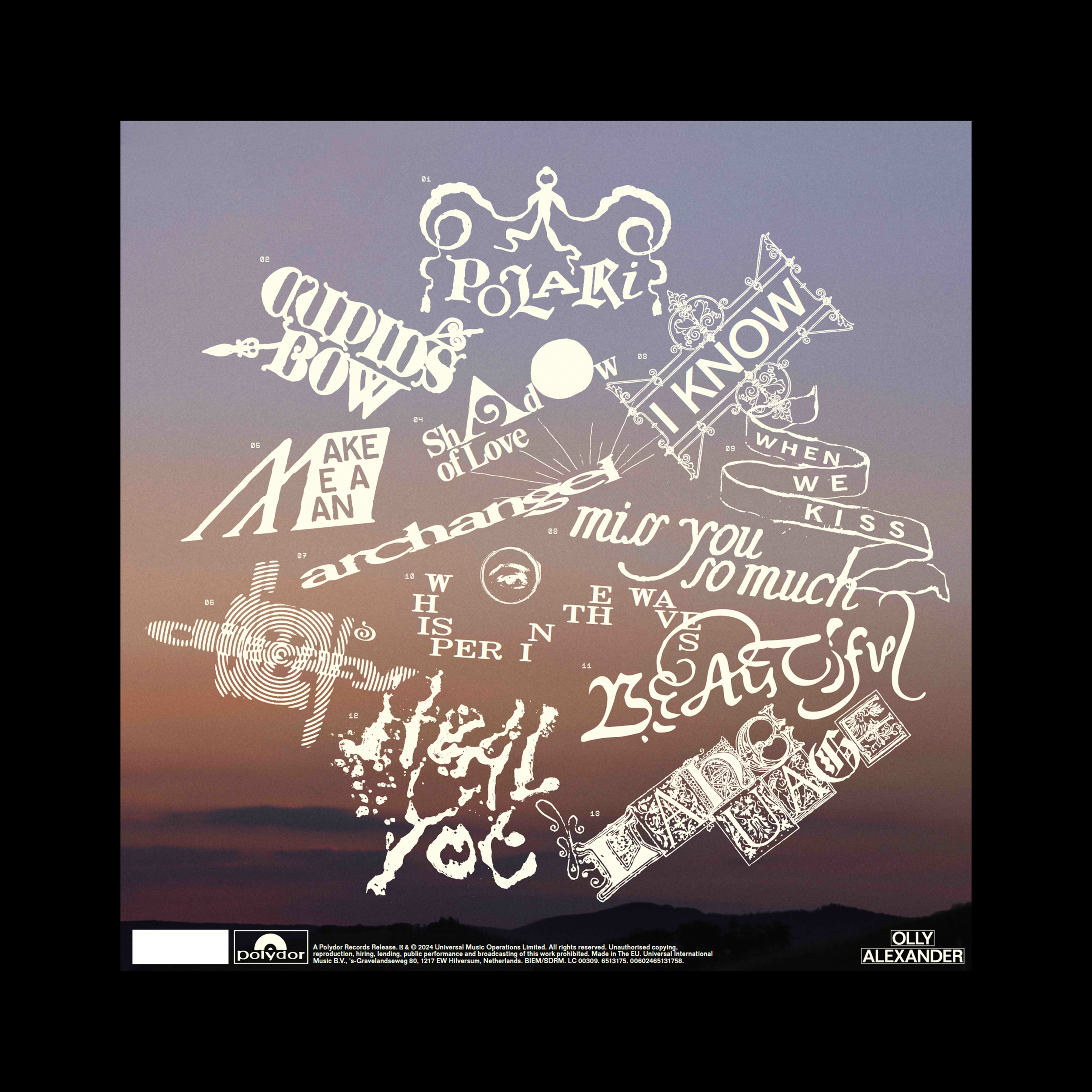 IMG_1737.PNG