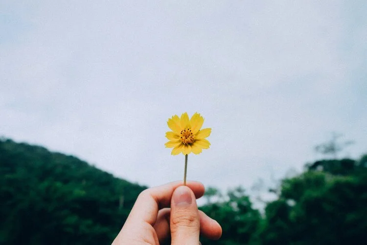 Maintaining Positivity