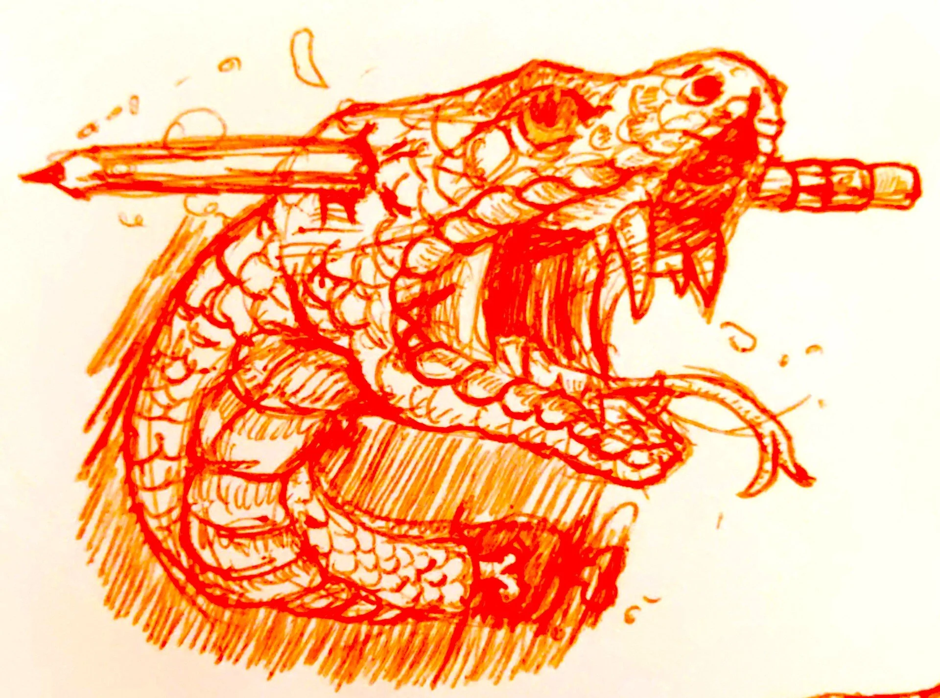 snakesketch.jpg