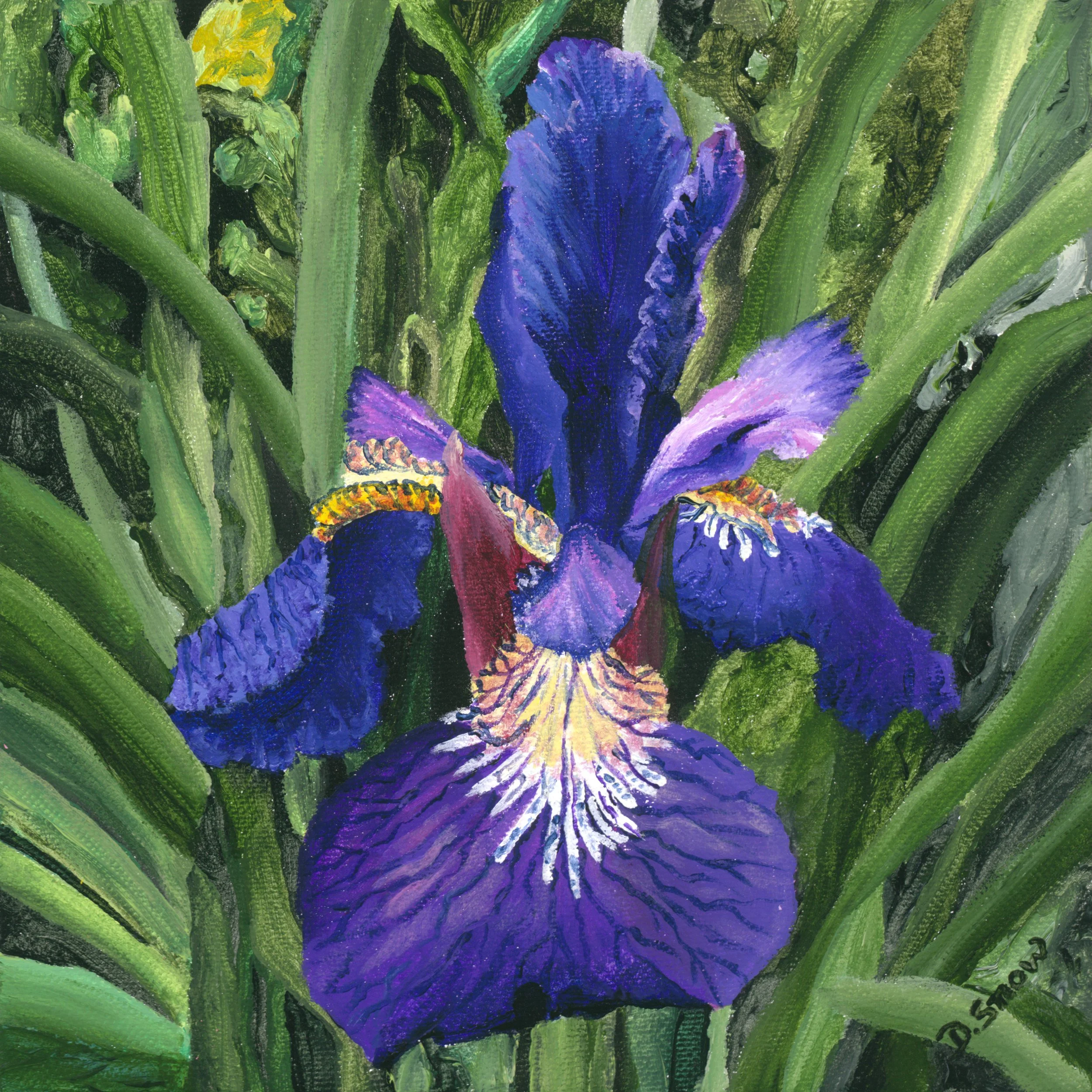 "Purple Iris"
Acrylic in Canvas
8 x 8"
Private Collection