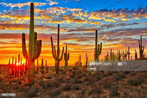 Colors of the southwest