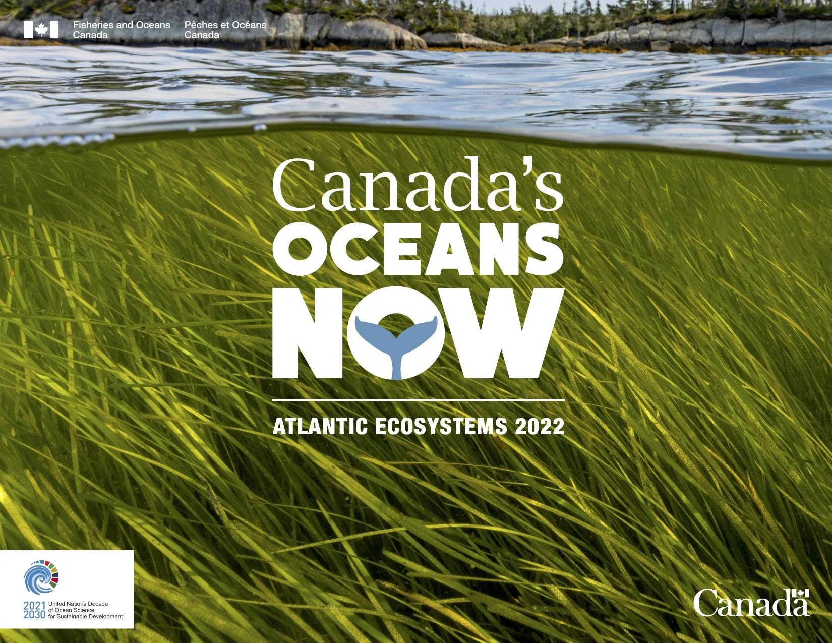 Cover for the publication "Canada's Oceans Now: Atlantic Ecosystems, 2022." A link leads to a PDF download on the Fisheries and Oceans Canada website.
