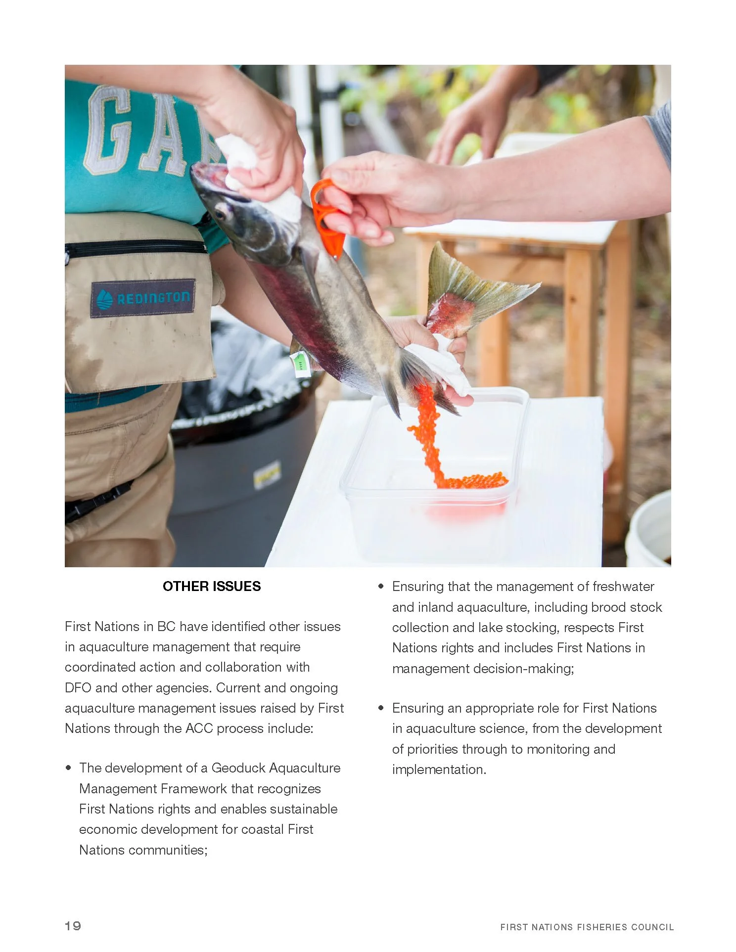 FNFC brochure - FINAL WEB_Page_19.jpg