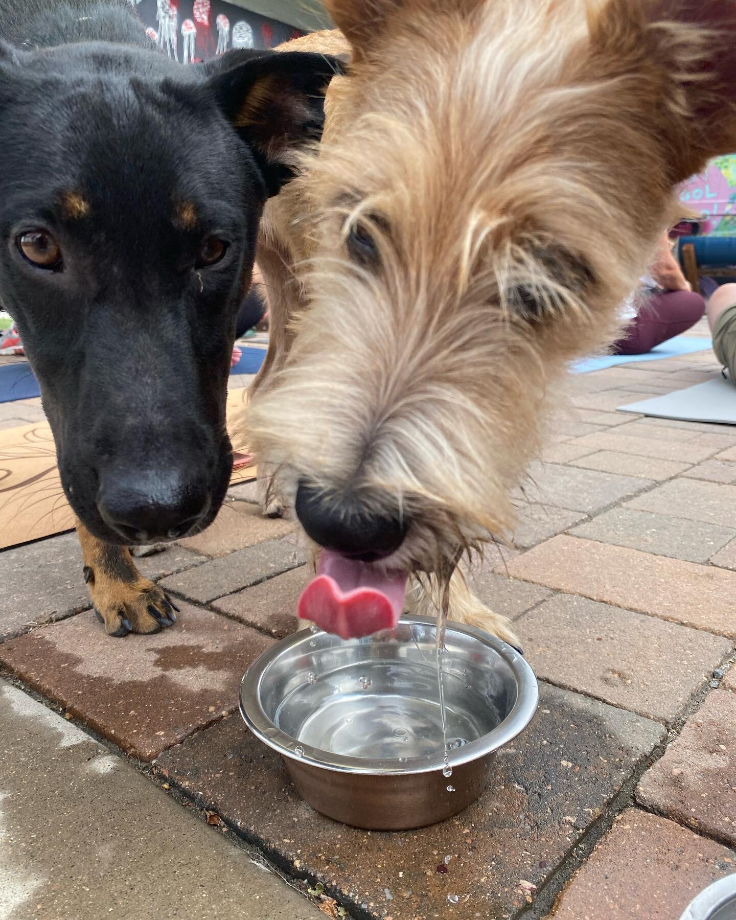 💦 Water Break 💦 

Don&rsquo;t forget to bring a yoga mat, water bottle and a buddy to every DNYP class!