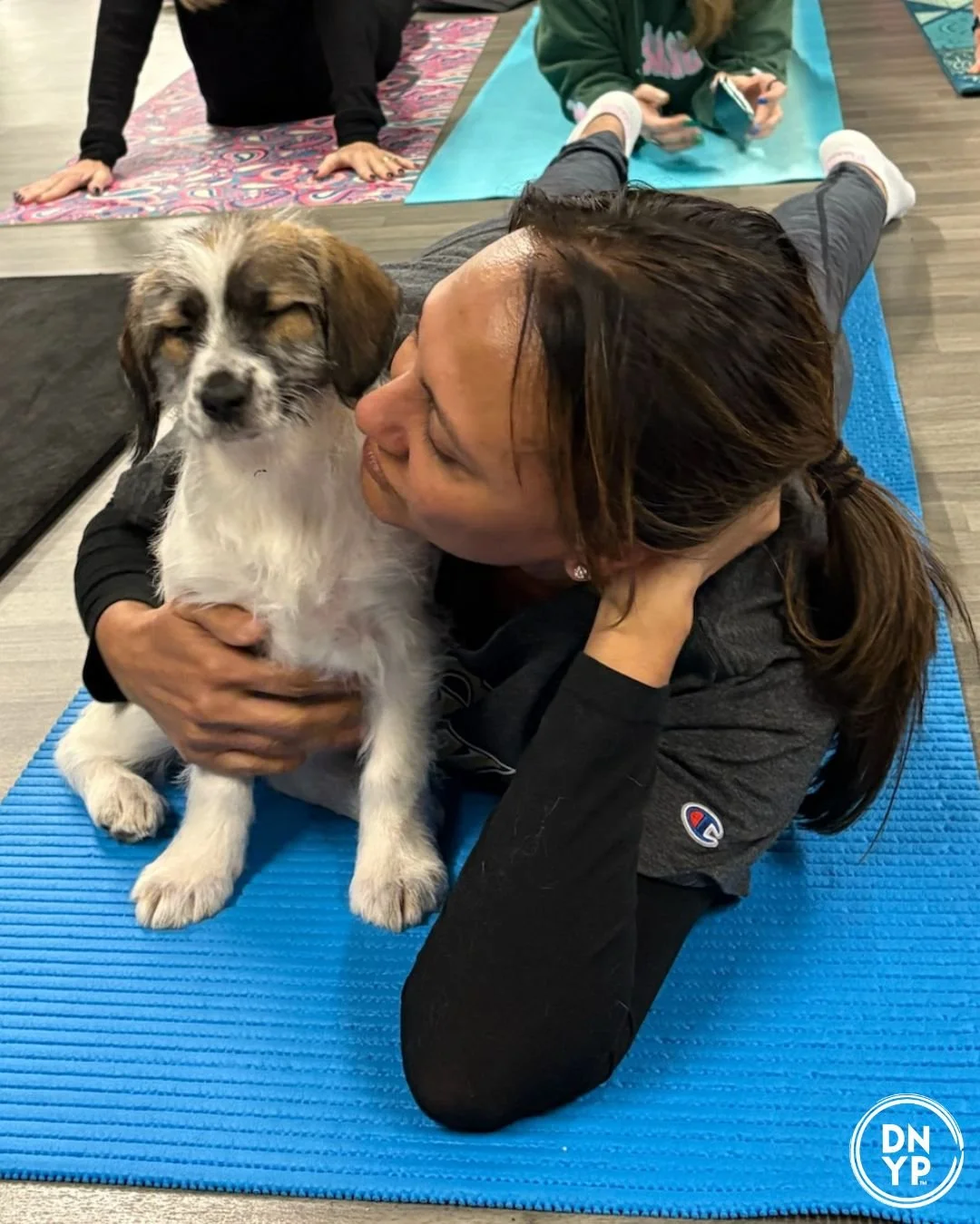 Karma Barre &amp; Yoga Studio and Boutique to benefit OSCAR Animal Rescue