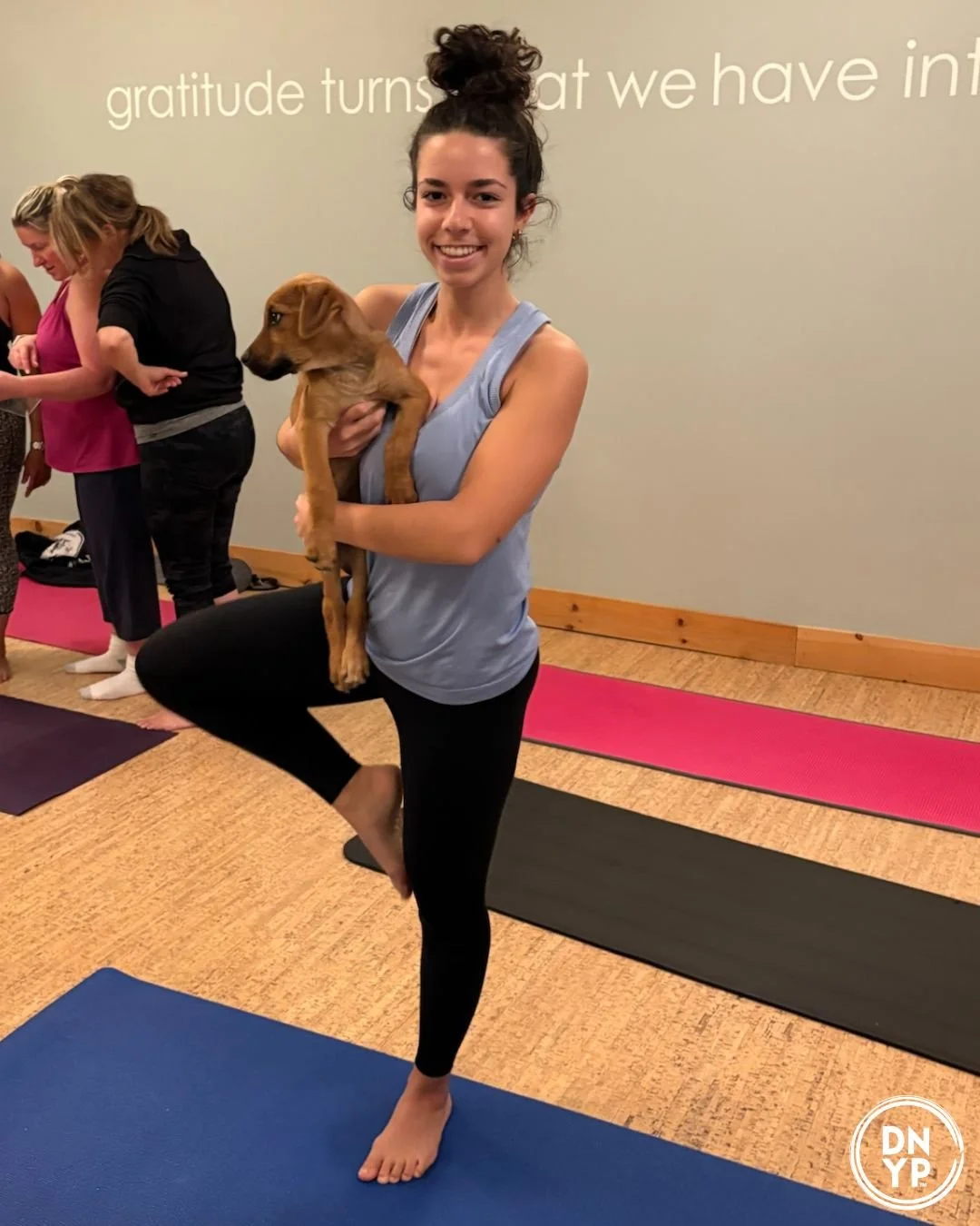 Fitness Factory Holmdel to benefit Castle of Dreams Animal Rescue (CODAR)
